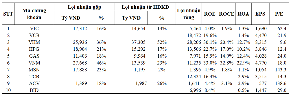 Soi chỉ số sinh lời của 10 công ty vốn hóa lớn nhất sàn chứng khoán Việt - 4