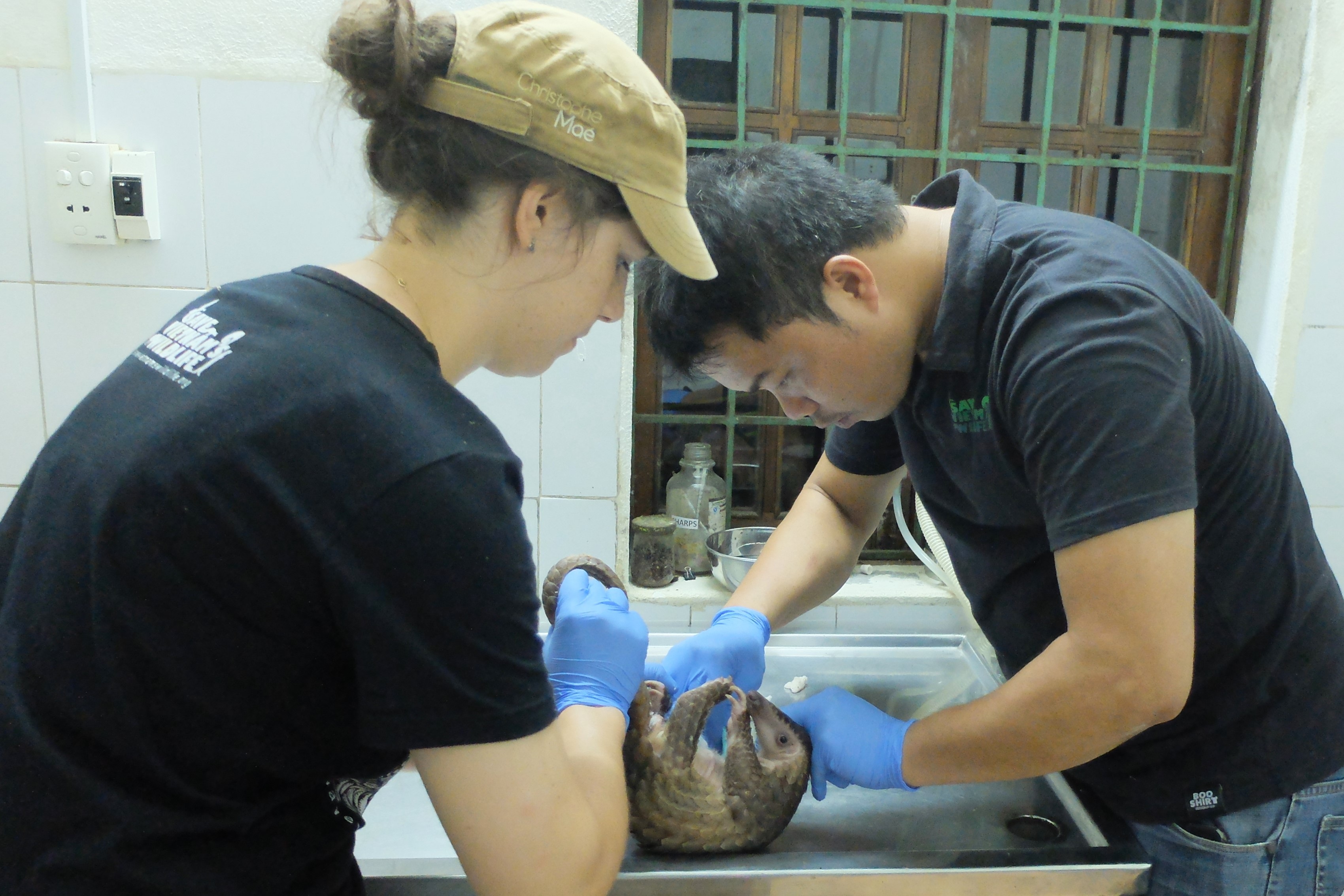 Chuyện về người rừng Việt Nam đạt giải Nobel xanh thế giới - 8