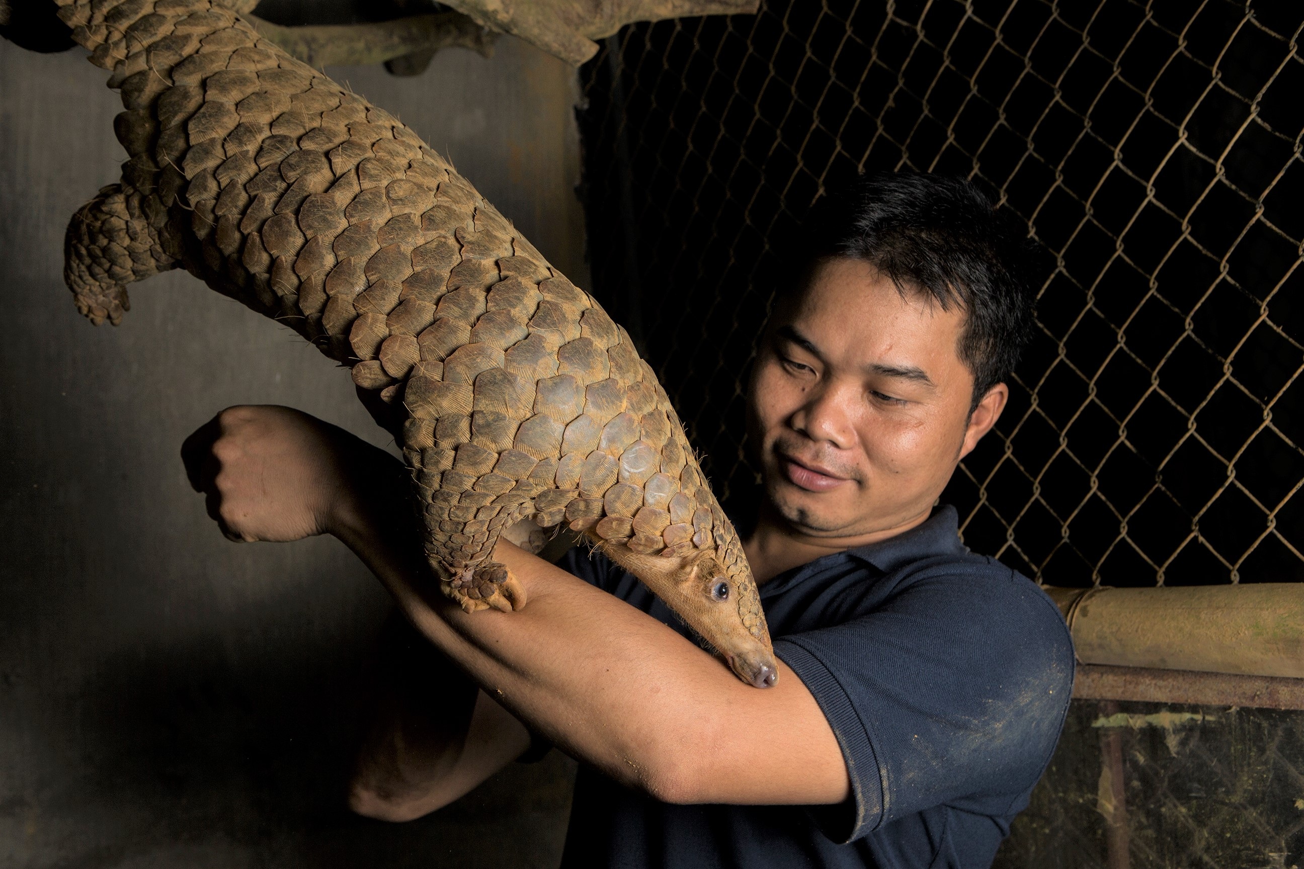 Chuyện về người rừng Việt Nam đạt giải Nobel xanh thế giới - 5