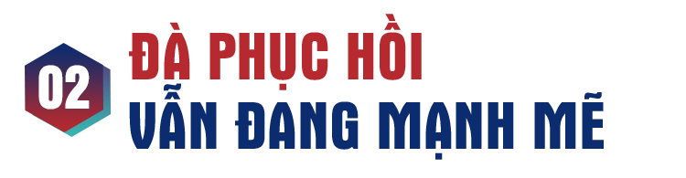 Bao giờ kinh tế Việt Nam vượt Thái Lan và Indonesia? - 8