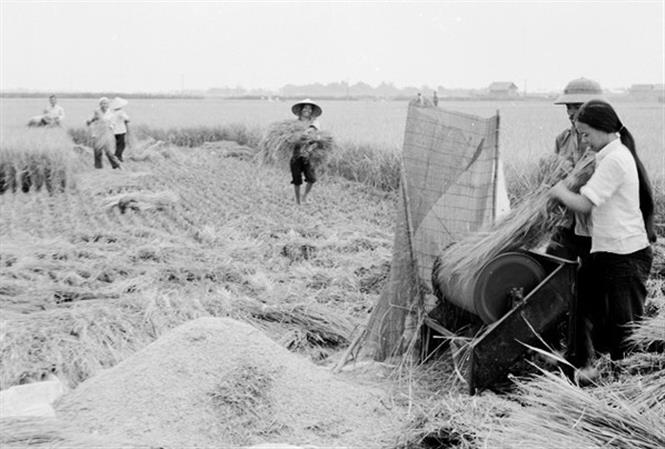 Đêm trước Đổi Mới: Bản đề cương đột phá không được lựa chọn của TBT Lê Duẩn - 12