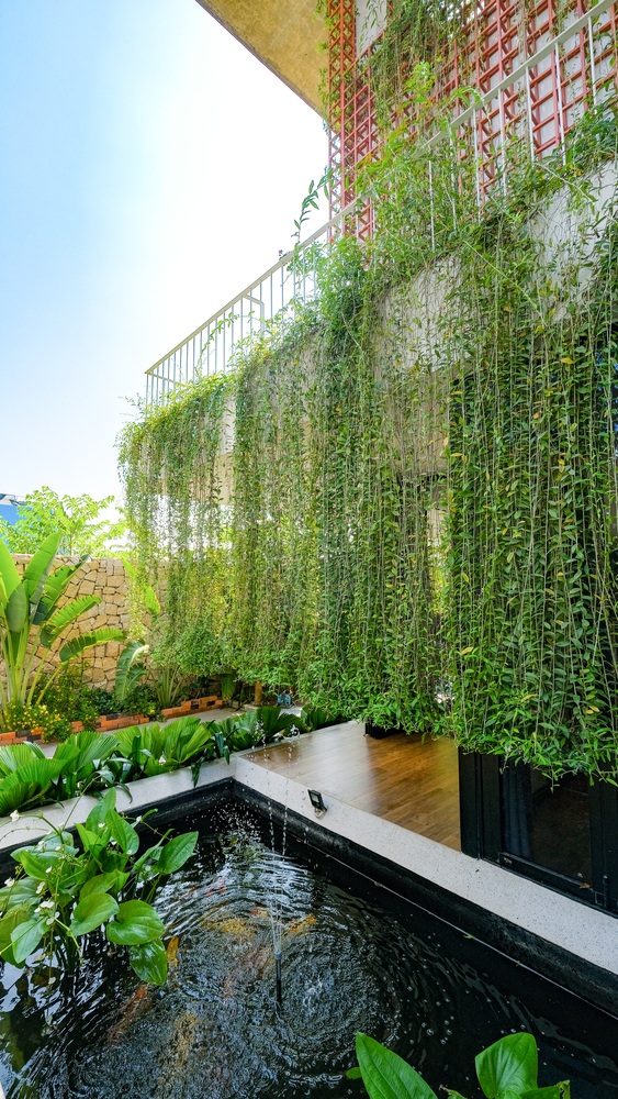 View - Ngôi nhà xanh có cả vườn cây mini trong toilet | Báo Dân trí