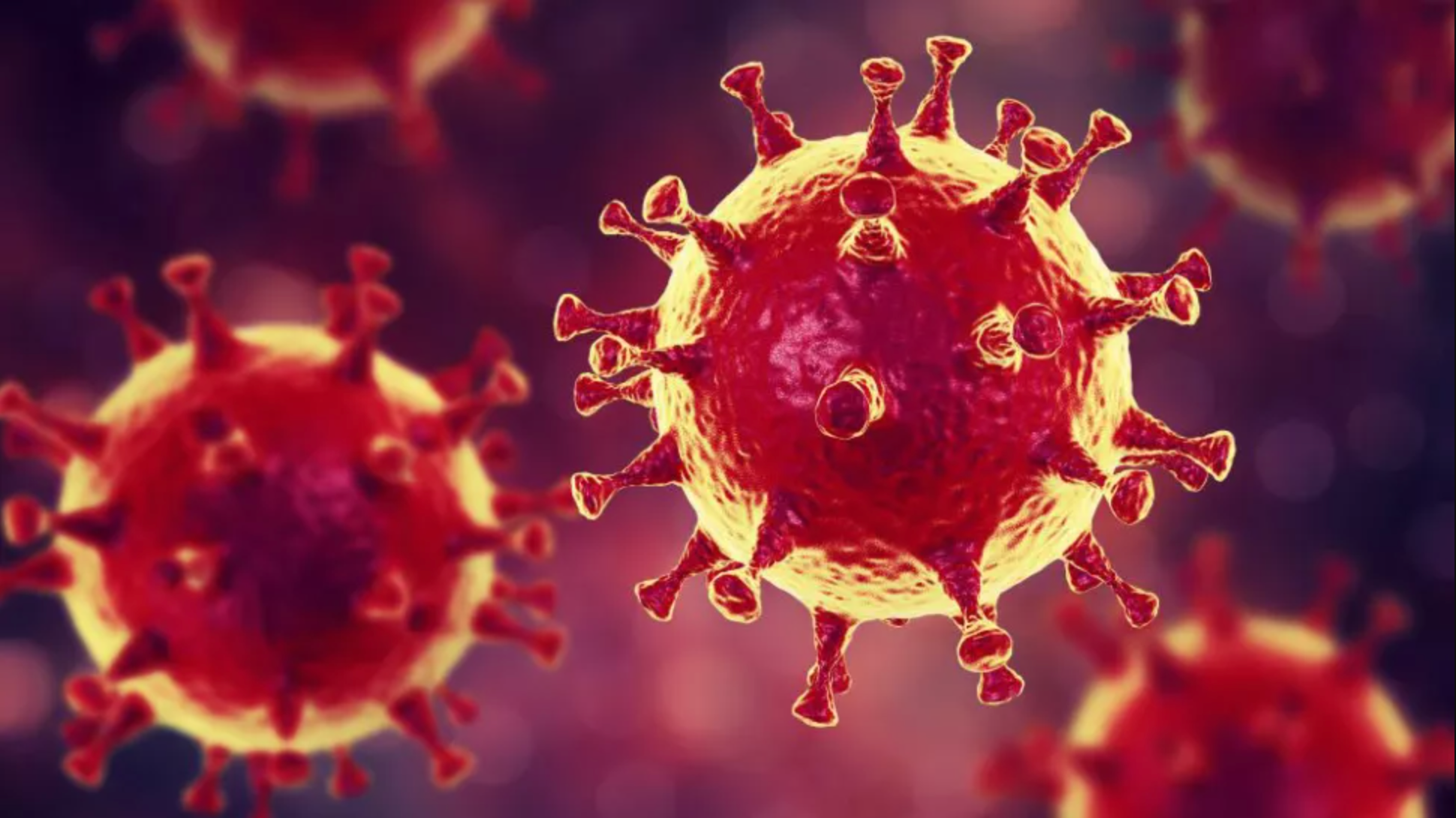 12 loại virus đáng sợ nhất trong lịch sử loài người - 32