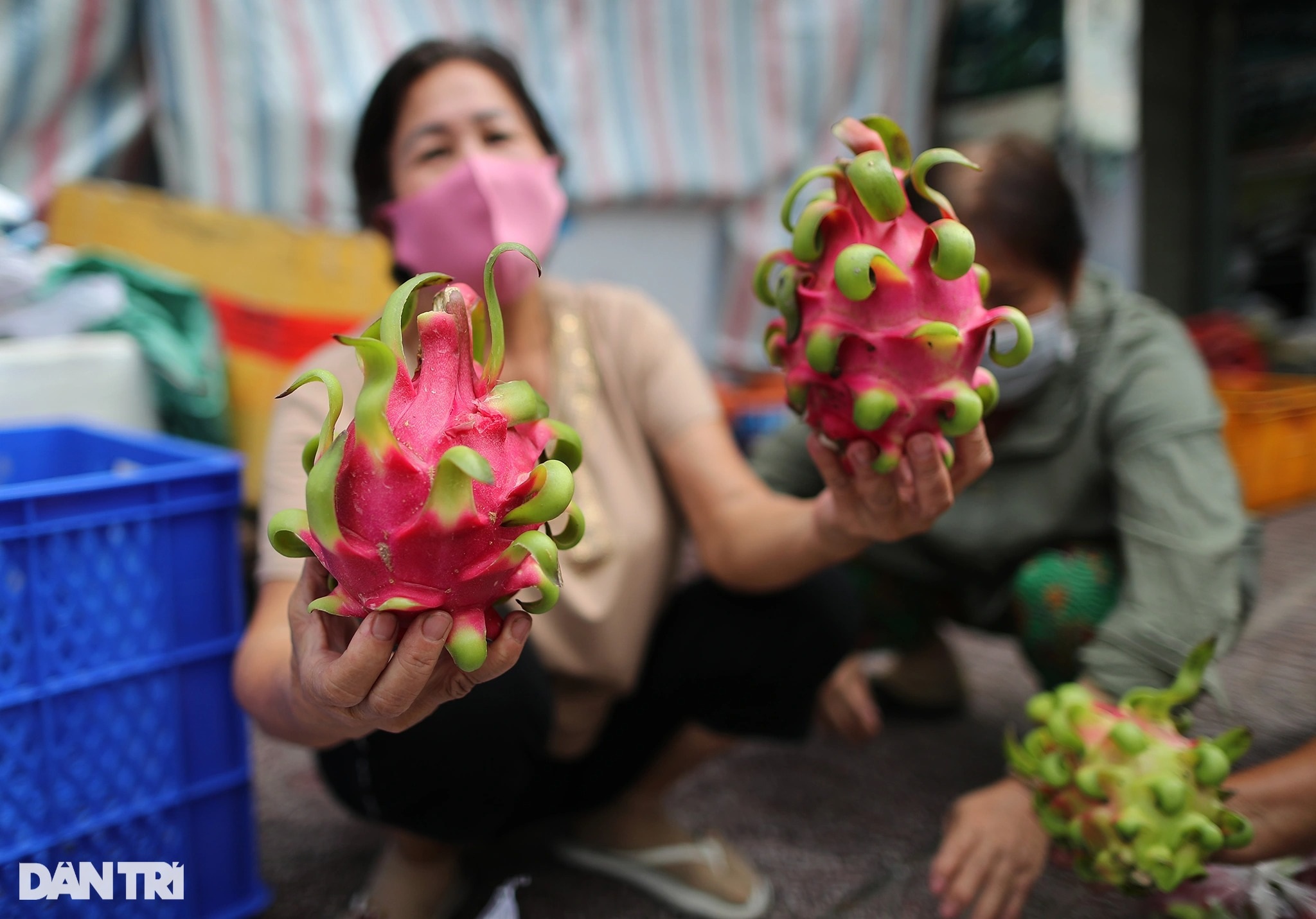 Người dân TPHCM xếp hàng dài chờ nhận thanh long miễn phí - 7 Người dân TPHCM xếp hàng dài chờ nhận thanh long miễn phí - 7