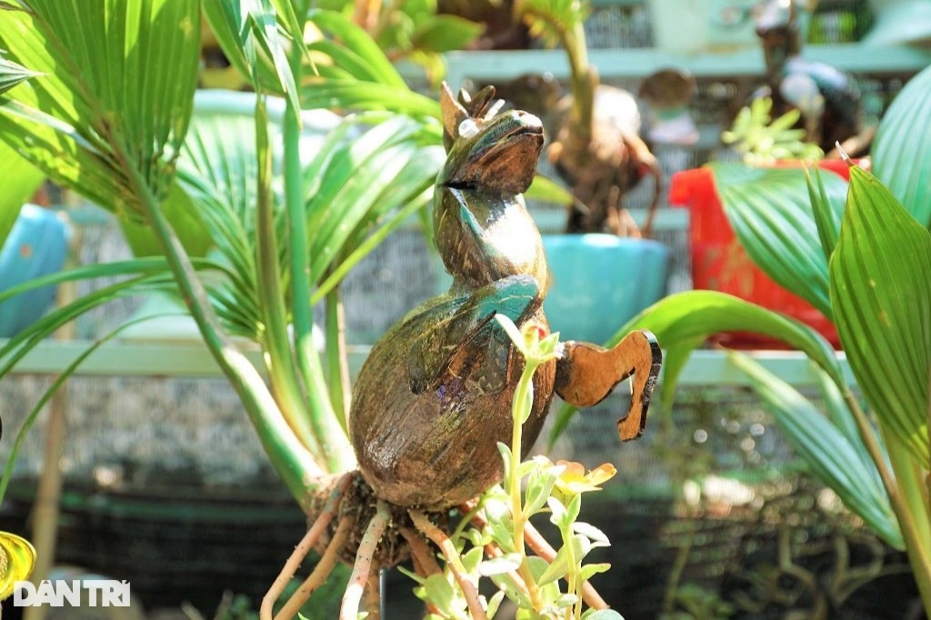 Kiếm tiền rủng rỉnh mùa Tết nhờ tạo tác 12 con giáp từ dừa bonsai - 4 Kiếm tiền rủng rỉnh mùa Tết nhờ tạo tác 12 con giáp từ dừa bonsai - 4