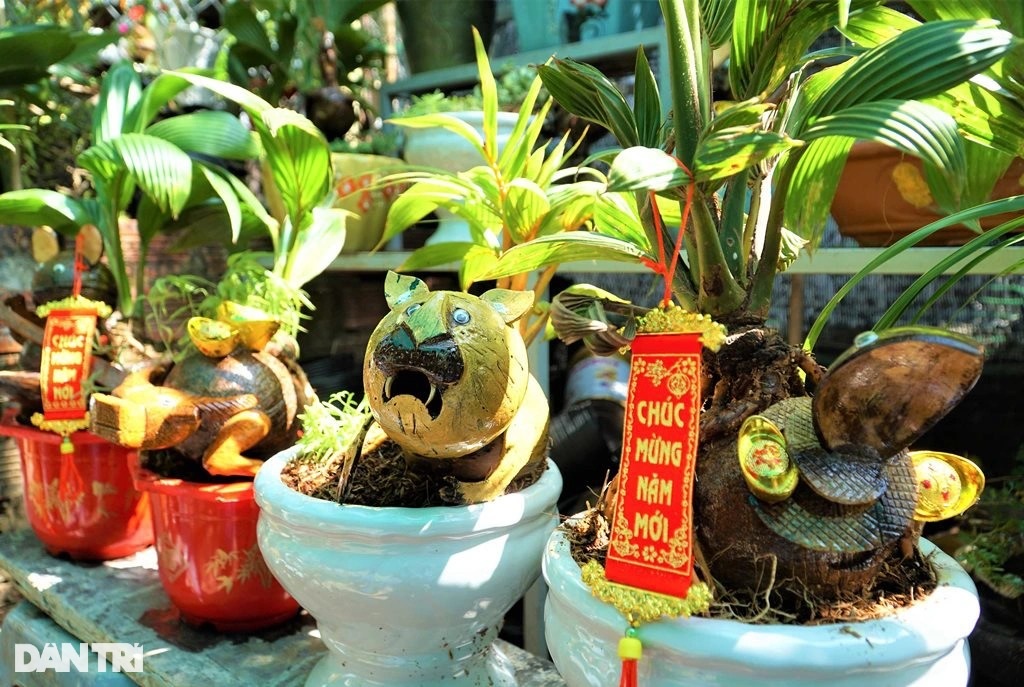 Kiếm tiền rủng rỉnh mùa Tết nhờ tạo tác 12 con giáp từ dừa bonsai - 2 Kiếm tiền rủng rỉnh mùa Tết nhờ tạo tác 12 con giáp từ dừa bonsai - 2