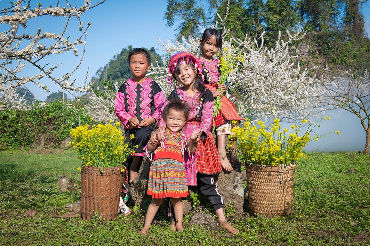 Plum flowers bloom in a beautiful white sky like a fairy in Moc Chau - 5