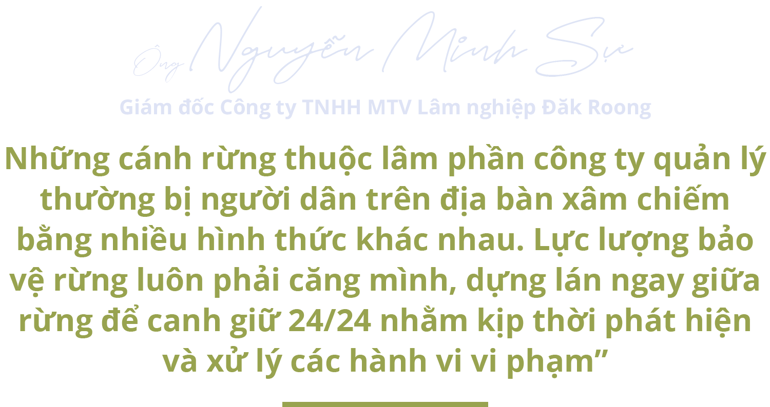 Bí ẩn về báu vật thế gian giữa đại ngàn cao nguyên ở Việt Nam - 9