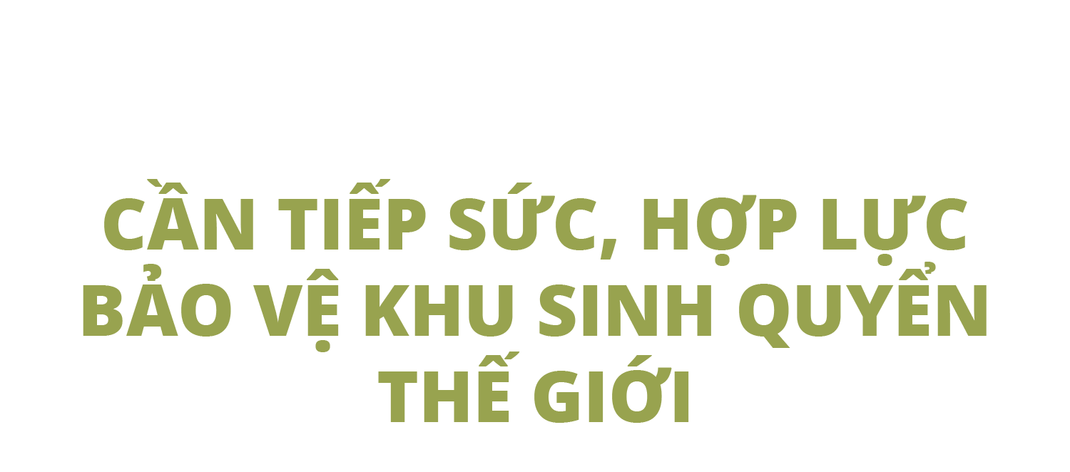 Bí ẩn về báu vật thế gian giữa đại ngàn cao nguyên ở Việt Nam - 6