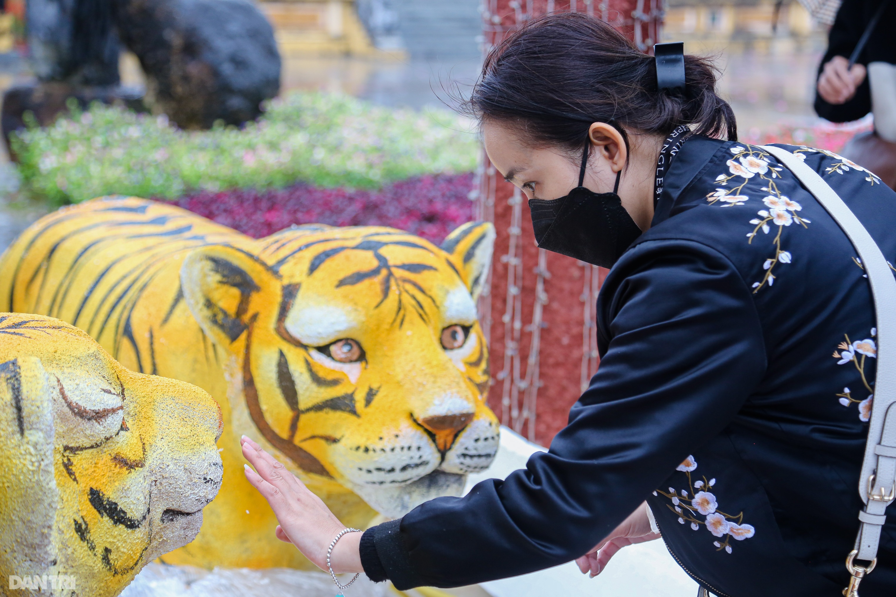 Người dân xứ Huế háo hức đợi xem hình tượng hổ từ TPHCM mang về Hội Xuân - 8 Người dân xứ Huế háo hức đợi xem hình tượng hổ từ TPHCM mang về Hội Xuân - 8