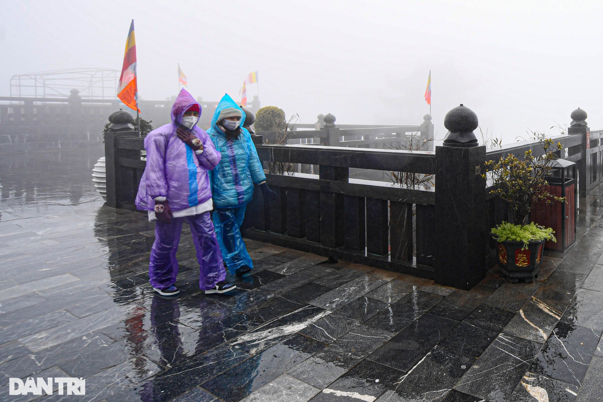 Du khách vẫn đổ lên đỉnh Fansipan dù mưa rét 0 độ C và không có băng tuyết - 5
