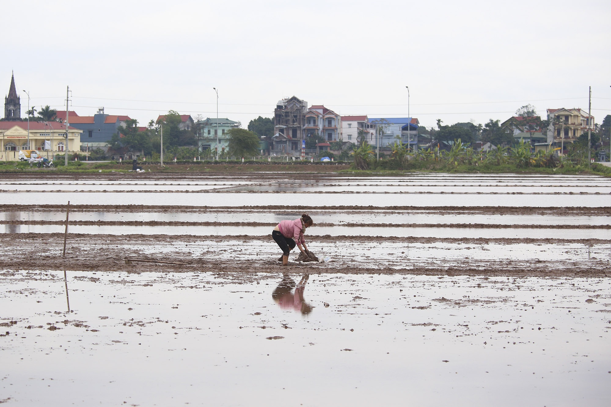 Nông dân ngoại thành bì bõm lội ruộng cấy lúa trong giá rét thấu xương - 15