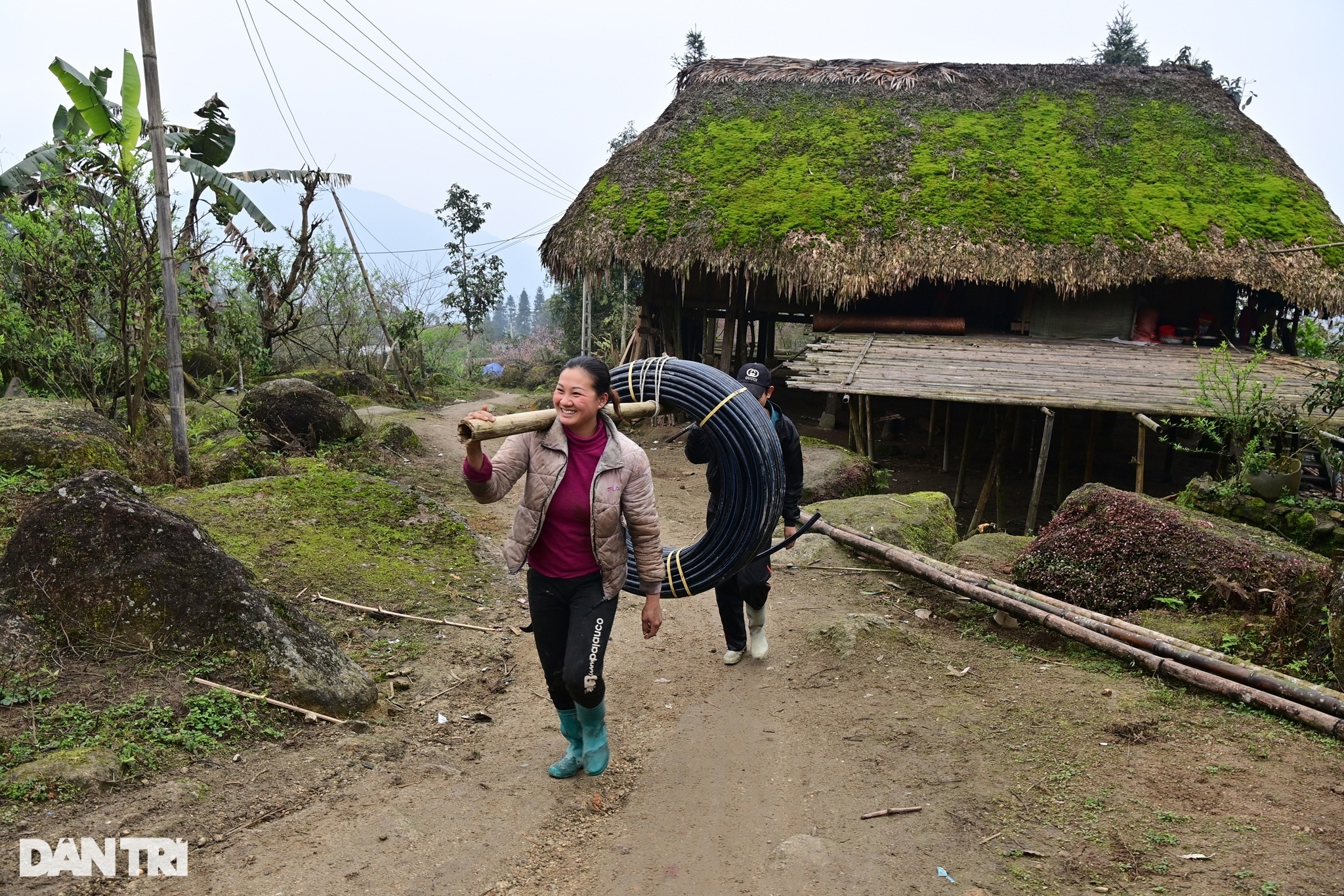 Strangely beautiful village with dozens of houses on stilts covered with green moss in Ha Giang - 16