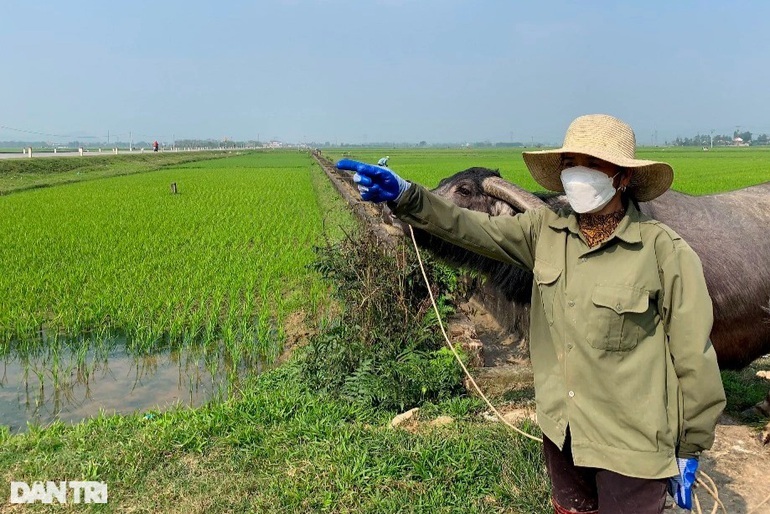 Địa ốc tuần qua: 3 tỷ đồng không mua nổi lô đất vẫn trồng lúa xanh rì ở quê - 1