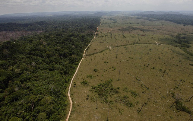 Đáng báo động: Rừng Amazon đang chết dần, sắp hóa thành xavan khô hạn? - 2