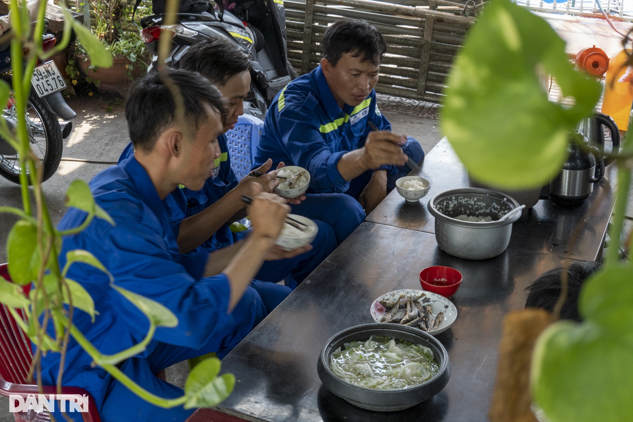 Đội quân đặc biệt giữ màu xanh cho kênh Nhiêu Lộc - Thị Nghè - 12