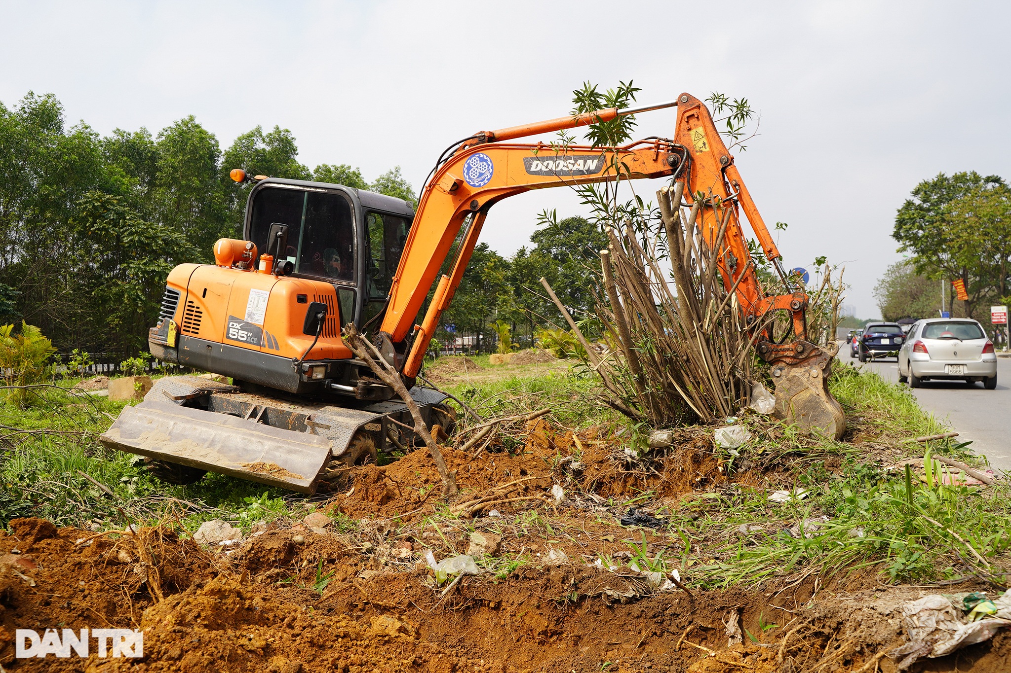 Di dời hàng trăm cây xanh, mở rộng đường gom Đại Lộ Thăng Long - 7