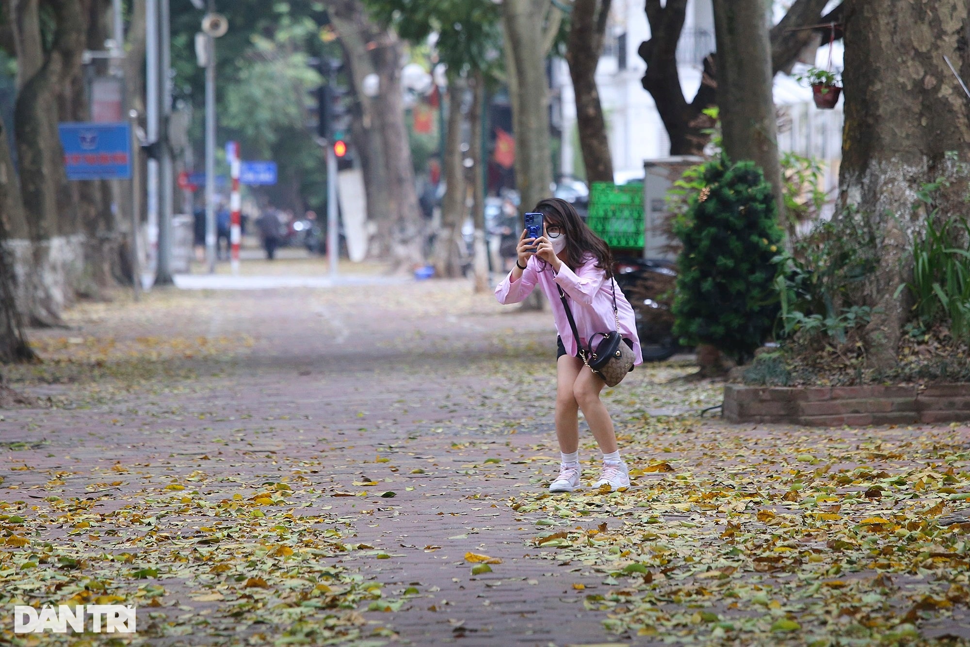 Hanoi is golden in the season when the trees change leaves, young people flock to take pictures - 11