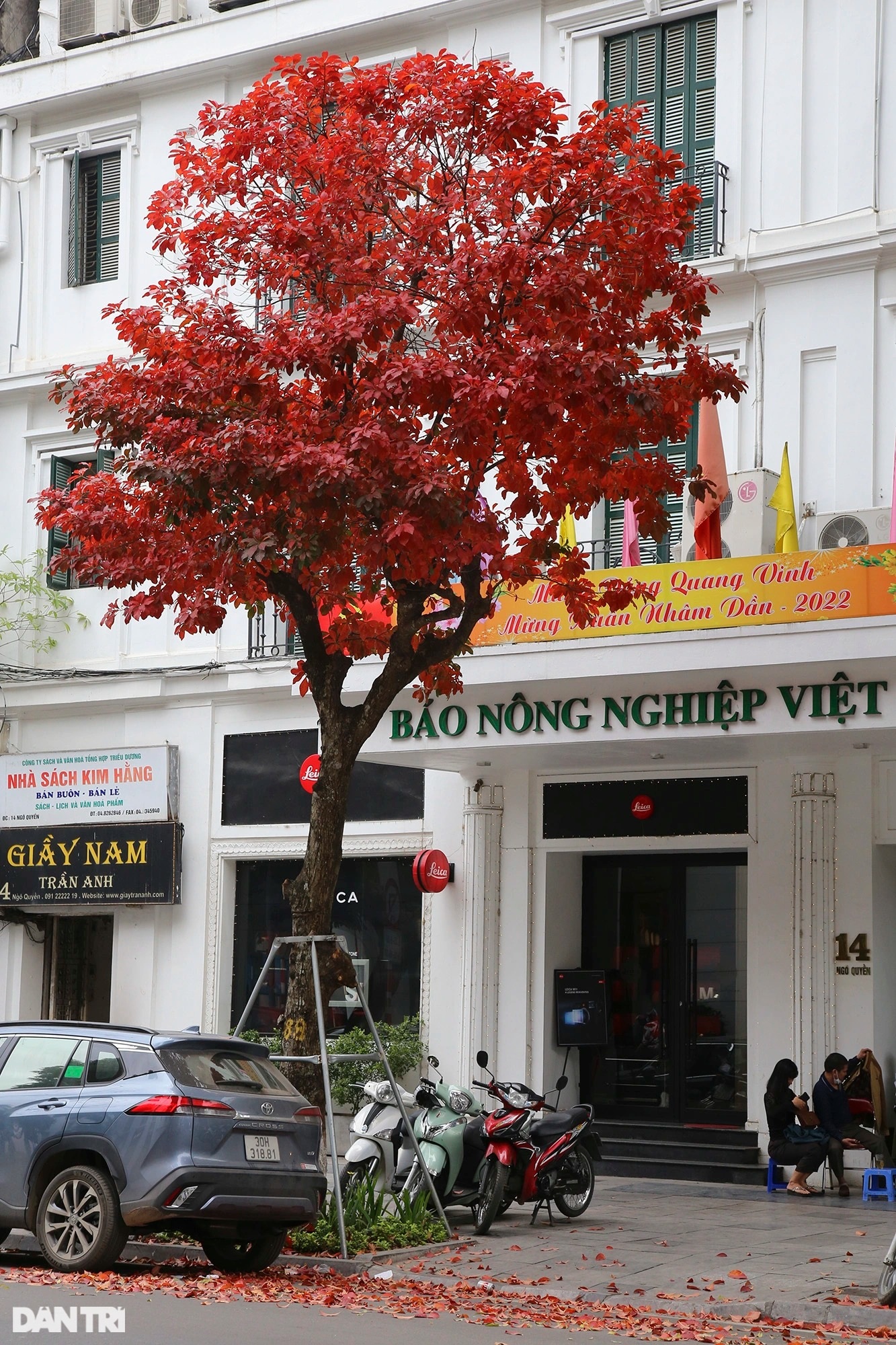 Hanoi is golden in the season when the trees change leaves, young people flock to take pictures - 12