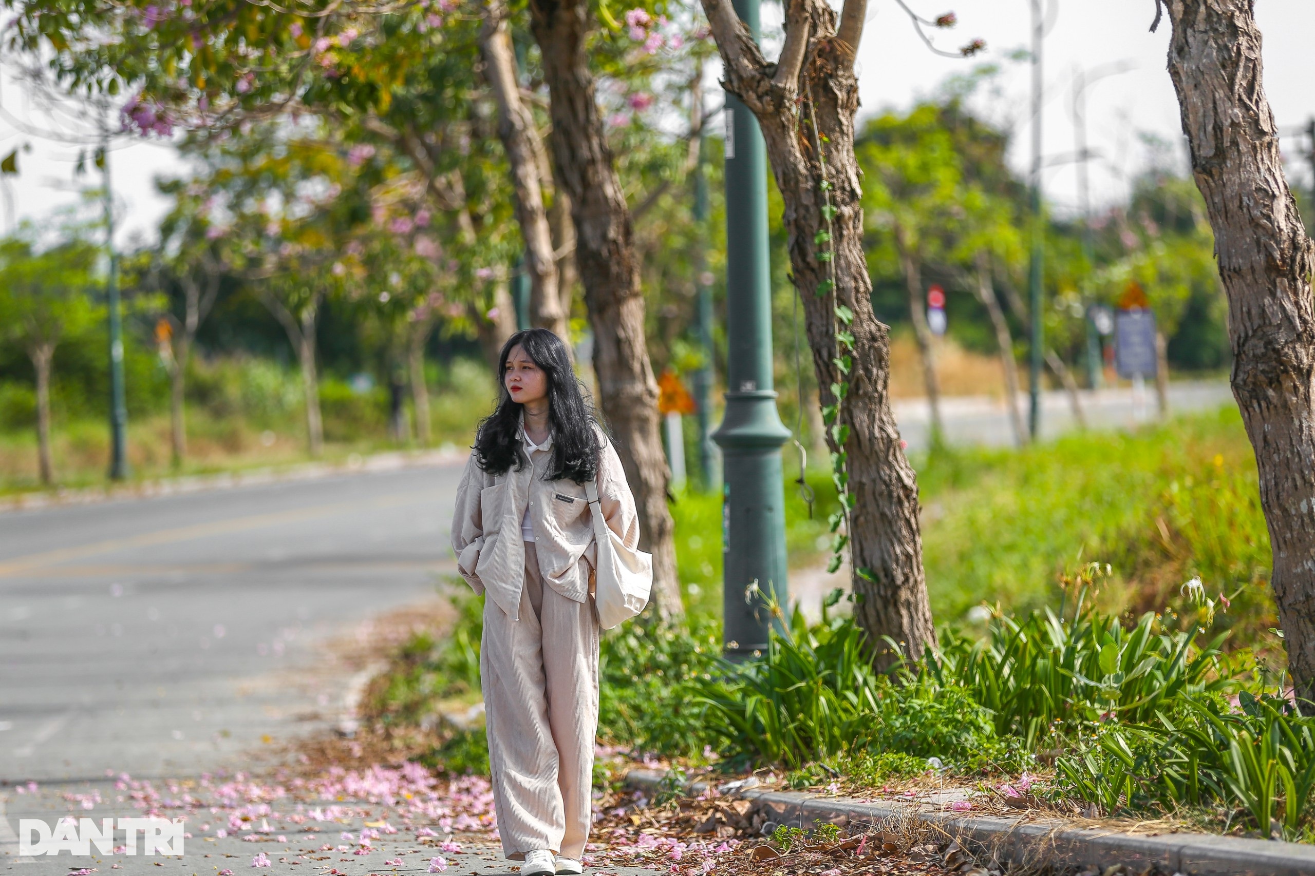 Giới trẻ háo hức chụp ảnh với hoa kèn hồng đang mùa nở rộ ở TPHCM - 11 Giới trẻ háo hức chụp ảnh với hoa kèn hồng đang mùa nở rộ ở TPHCM - 11