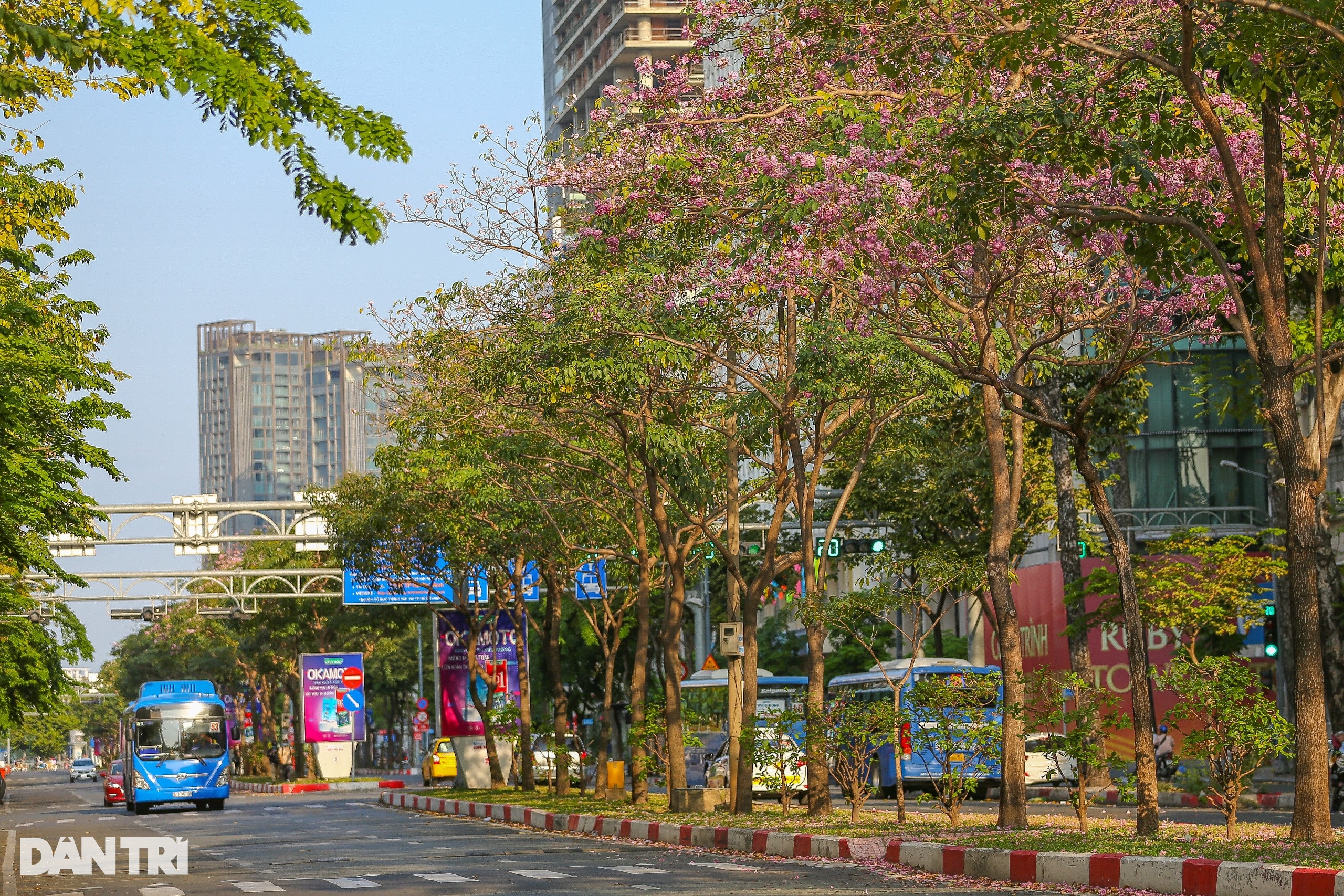 Hoa kèn hồng: Hoa kèn hồng là một loại hoa đặc biệt, được coi là biểu tượng của sự nữ tính và tinh tế. Khám phá những bức ảnh đầy màu sắc và sáng tạo, với hoa kèn hồng trở thành điểm nhấn trên từng tấm hình, giúp tô điểm cho không gian thêm phần trang trọng và đẳng cấp.