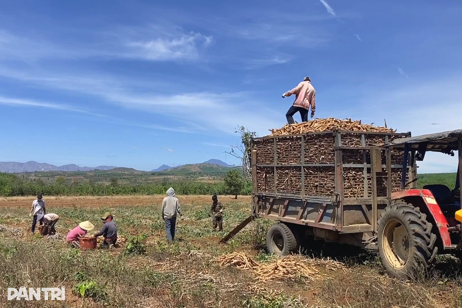 Dân loay hoay tìm kế thoát nghèo sau công trình ánh sáng - 4