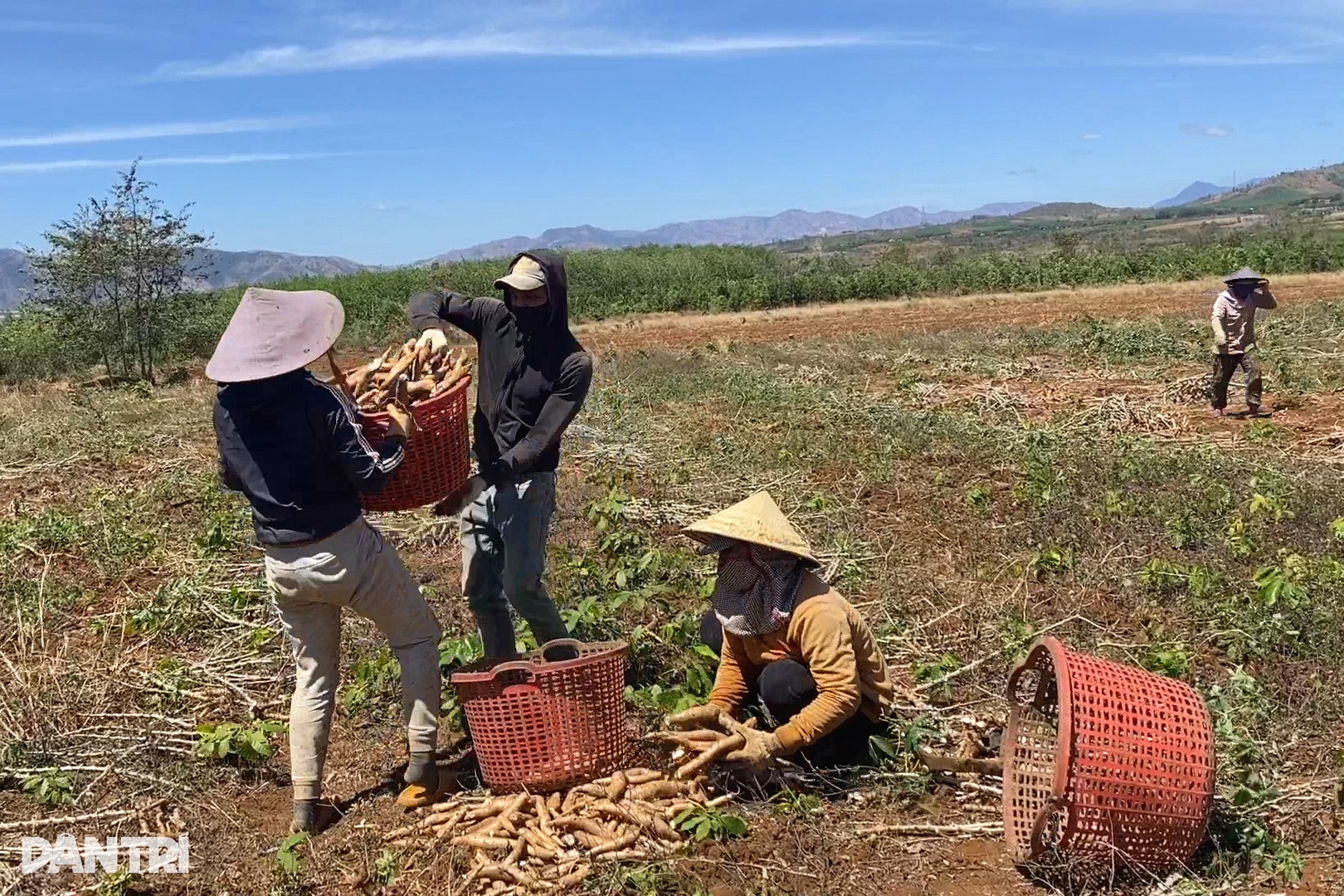 Dân loay hoay tìm kế thoát nghèo sau công trình ánh sáng - 5