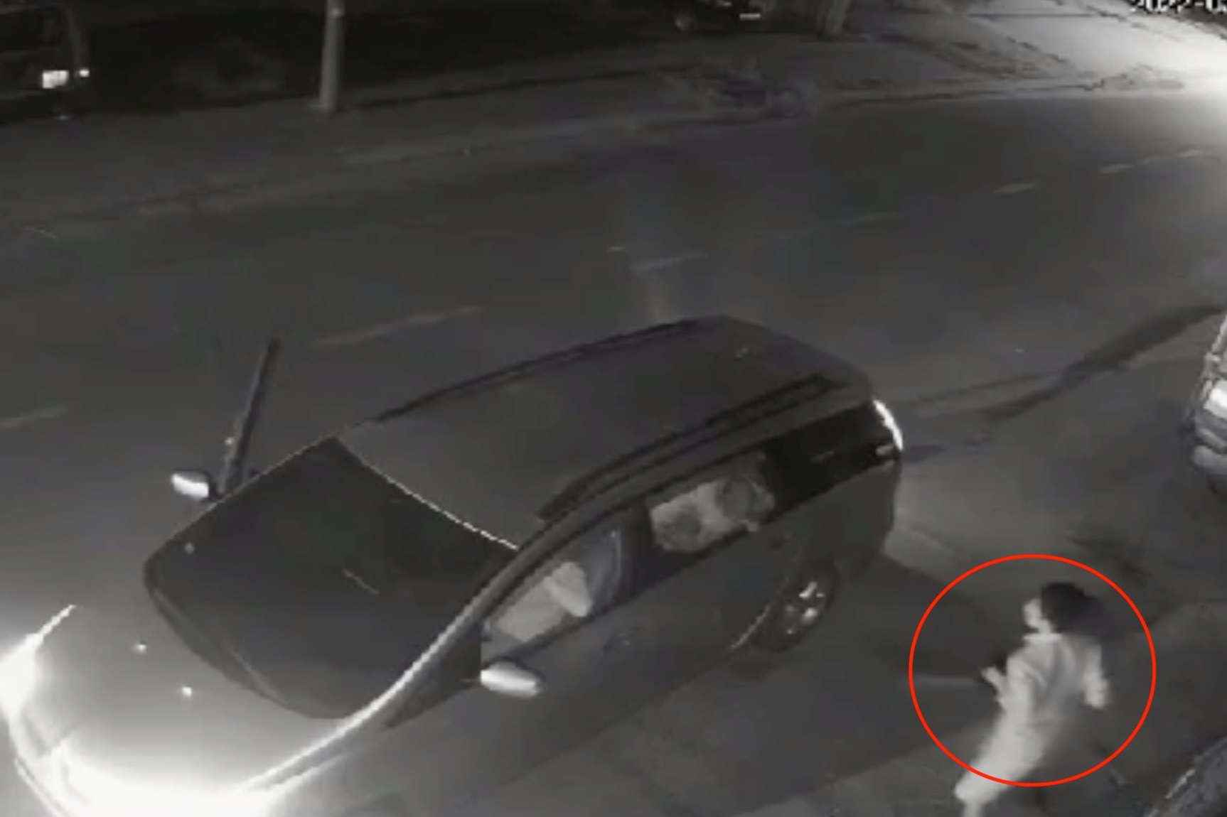 Clip thanh niên lái ô tô đi trộm chó ở TPHCM - 2