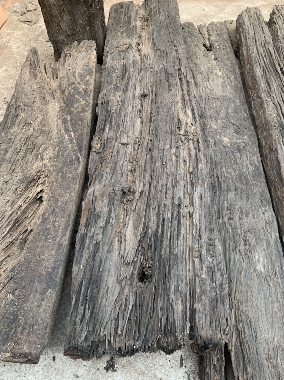 Bãi cọc gỗ bí ẩn ở Bắc Giang: Có thể vẫn còn một lượng gỗ lớn dưới lòng đất - 2