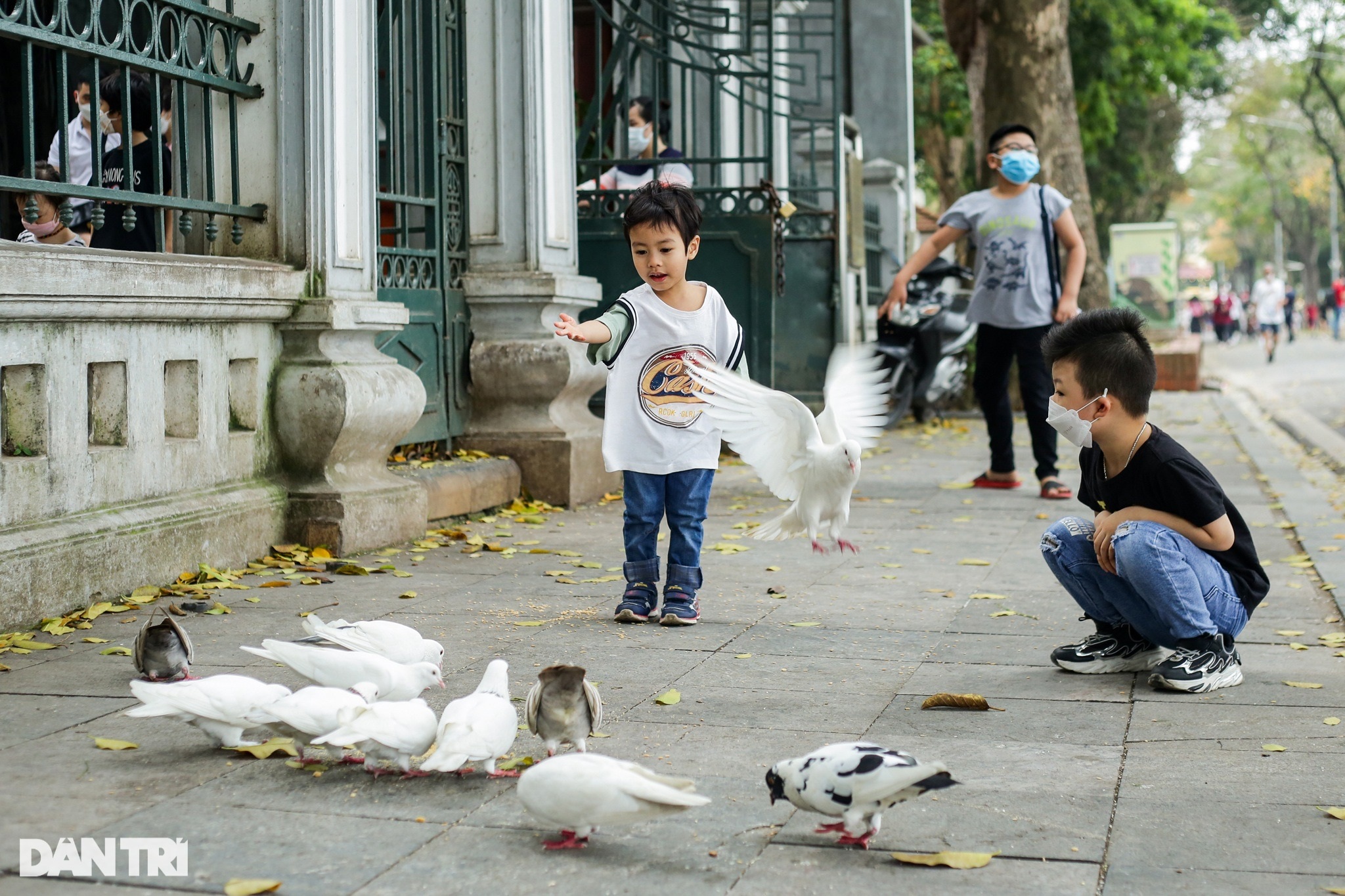 Các em nhỏ thích thú, vãi thóc cho chim bồ câu ăn trên hè phố Lê Thái Tổ.
