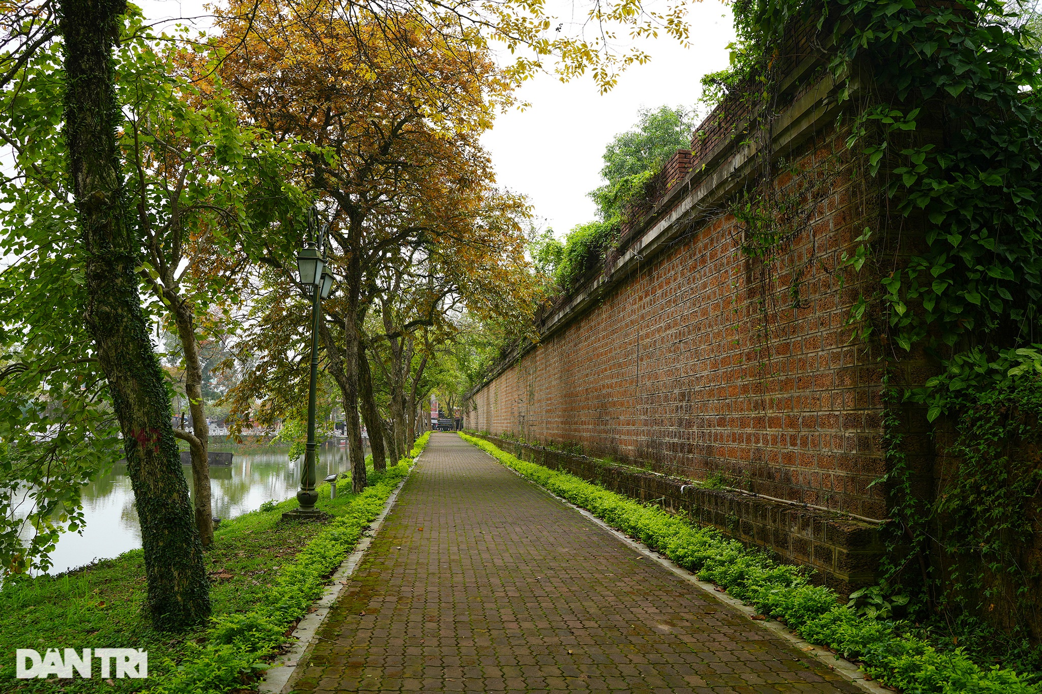 Chiêm ngưỡng thành cổ Sơn Tây 200 năm tuổi ở Hà Nội sắp có tuyến phố đi bộ - 7