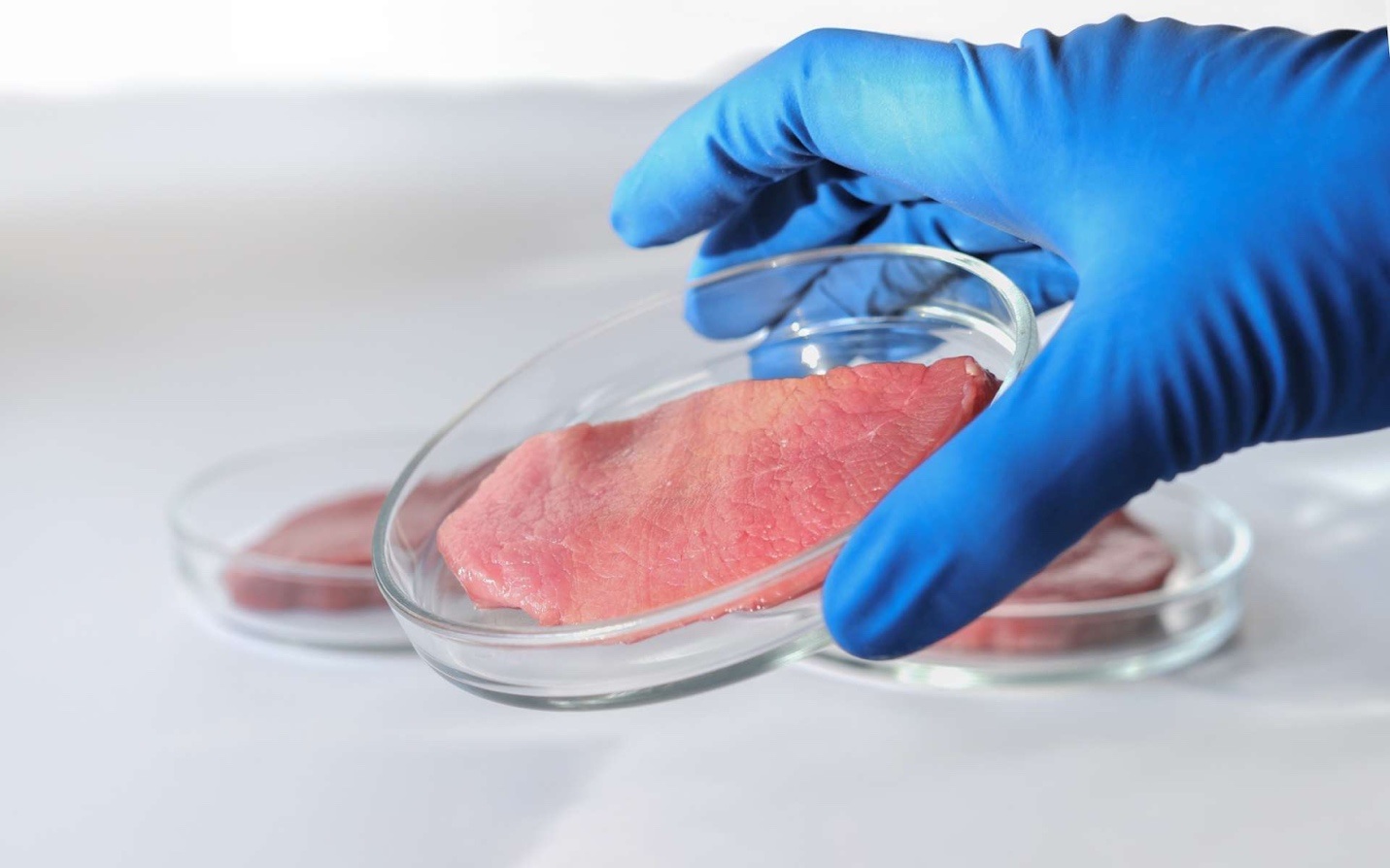 Kỳ lạ cây thuốc lá giúp sản xuất thịt nhân tạo ít tốn kém hơn - 1