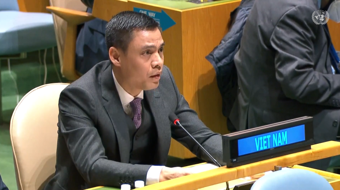 Việt Nam dự phiên họp khẩn cấp của Liên Hợp Quốc về tình hình Ukraine - 1
