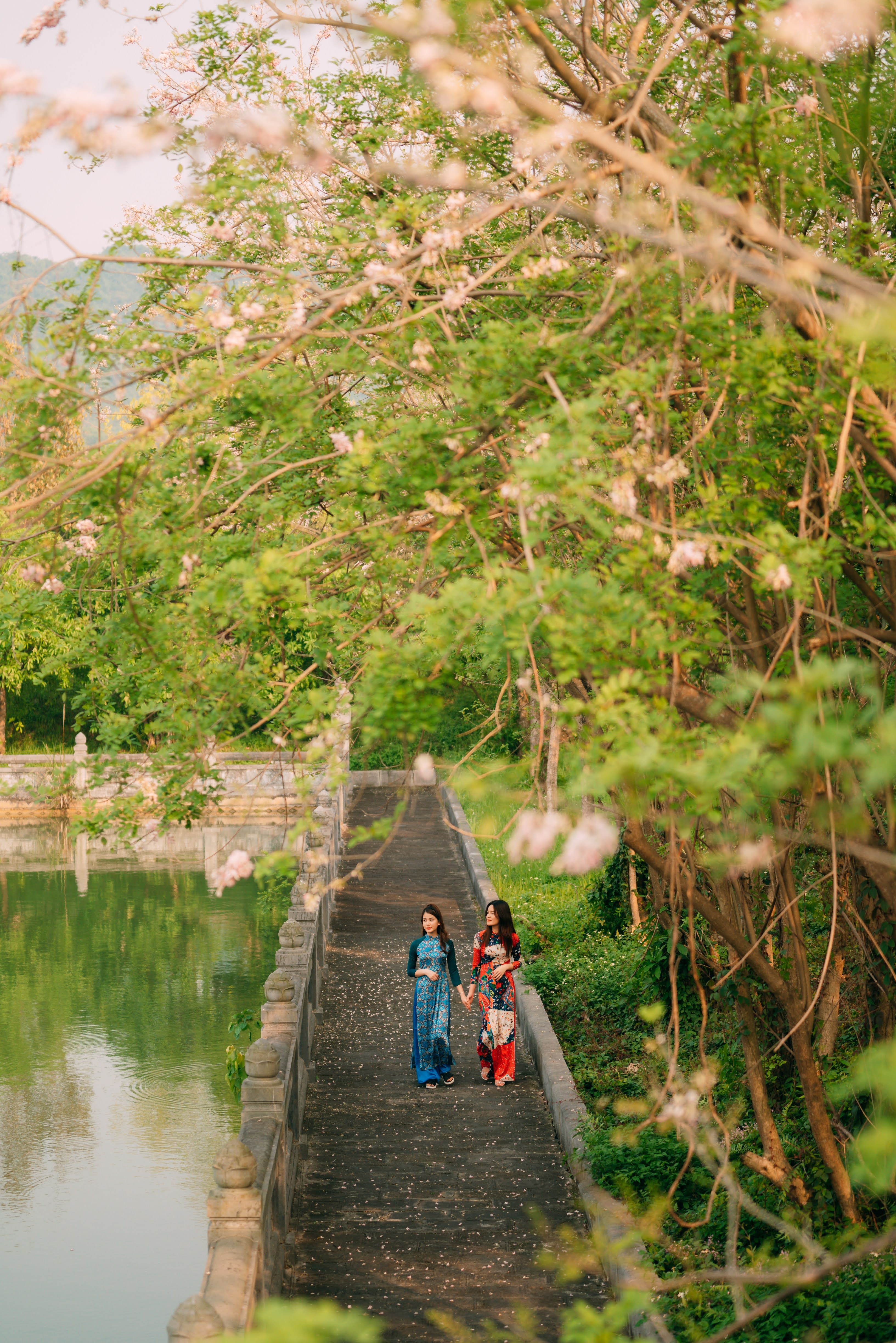 Loài hoa đất nước mặt trời mọc khoe sắc tô điểm chùa lớn nhất Việt Nam - 9 Loài hoa đất nước mặt trời mọc khoe sắc tô điểm chùa lớn nhất Việt Nam - 9