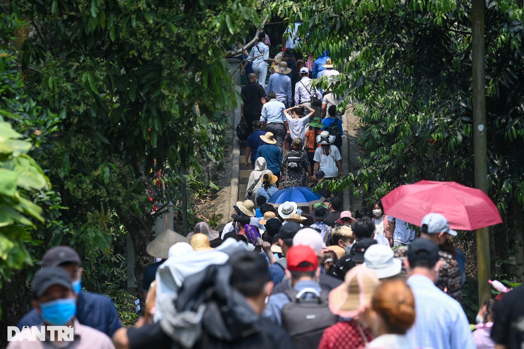 Hàng chục nghìn du khách đổ về đền Hùng dâng hương trước ngày giỗ Tổ - 8