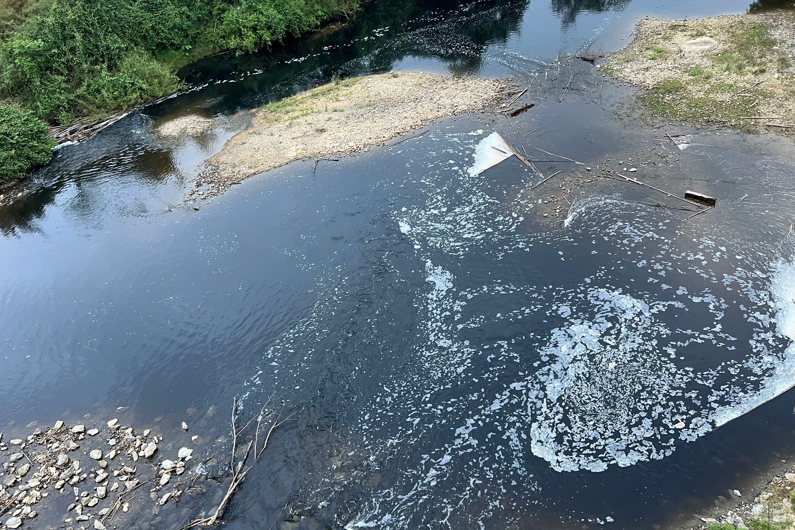 Hãi cảnh cá chết la liệt trên dòng sông đen kịt nước thải nhà máy gỗ  - 2