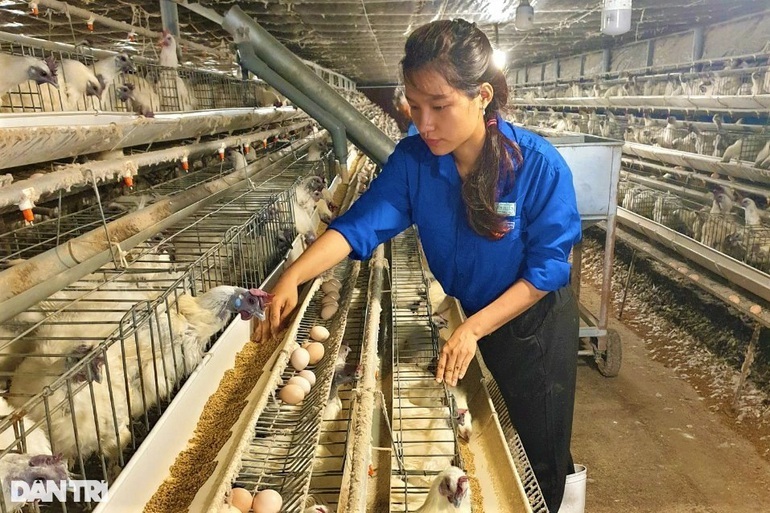 Ngân hàng, tài chính hút nhân lực nhờ mức lương dẫn đầu - 7 Ngân hàng, tài chính hút nhân lực nhờ mức lương dẫn đầu - 7