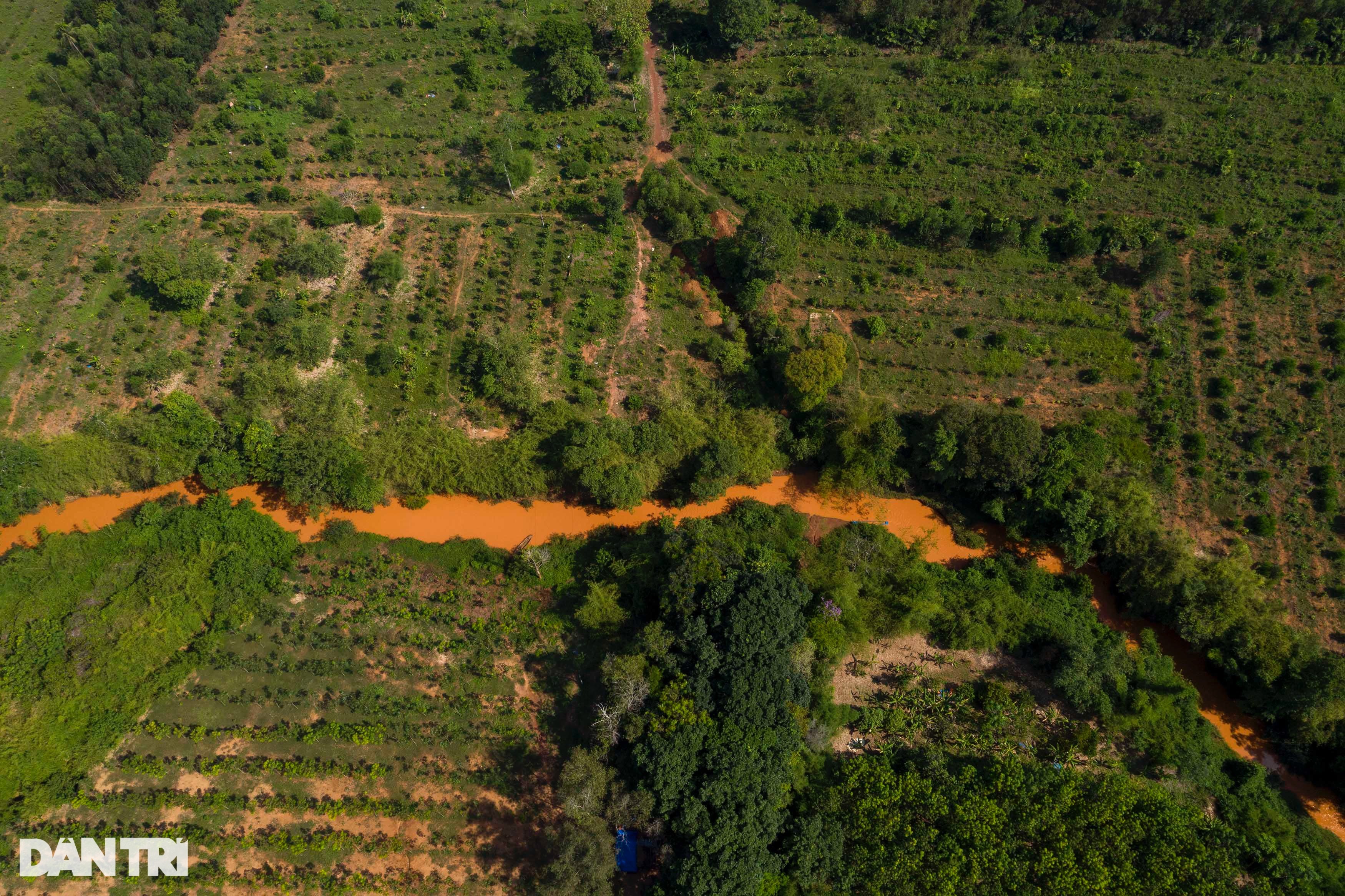 Toàn cảnh nơi đề xuất xây cầu Mã Đà và tuyến đường bổ dọc rừng ở Đồng Nai - 3