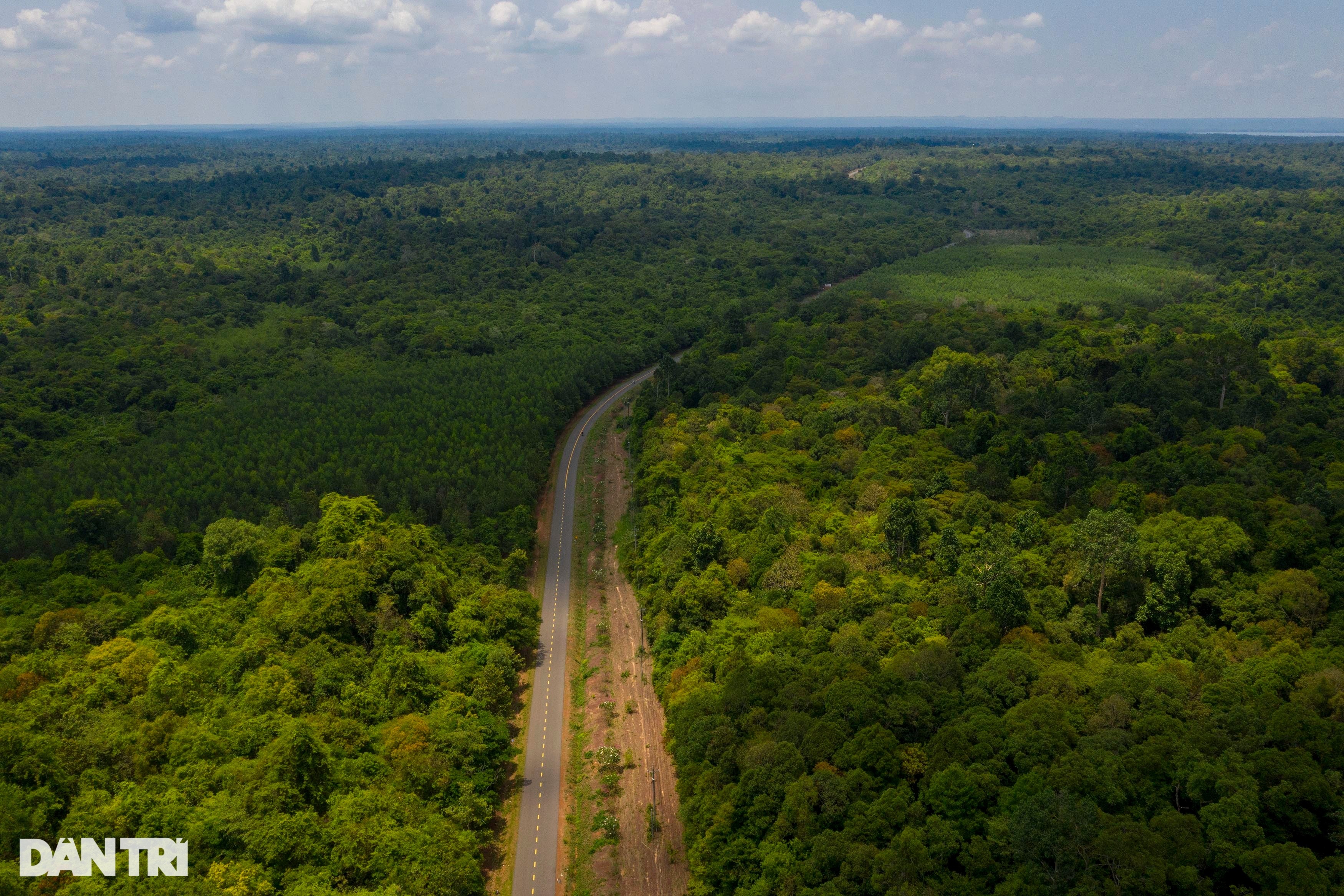 Toàn cảnh nơi đề xuất xây cầu Mã Đà và tuyến đường bổ dọc rừng ở Đồng Nai - 8