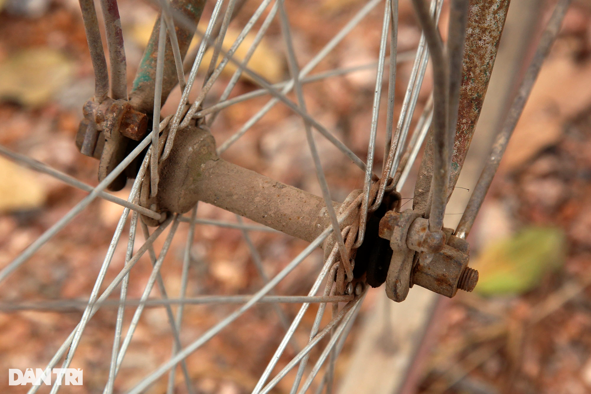 View - Xe đạp 40 năm trước giá vài chỉ vàng nay chỉ dùng đi chăn bò, thăm ruộng | Báo Dân trí