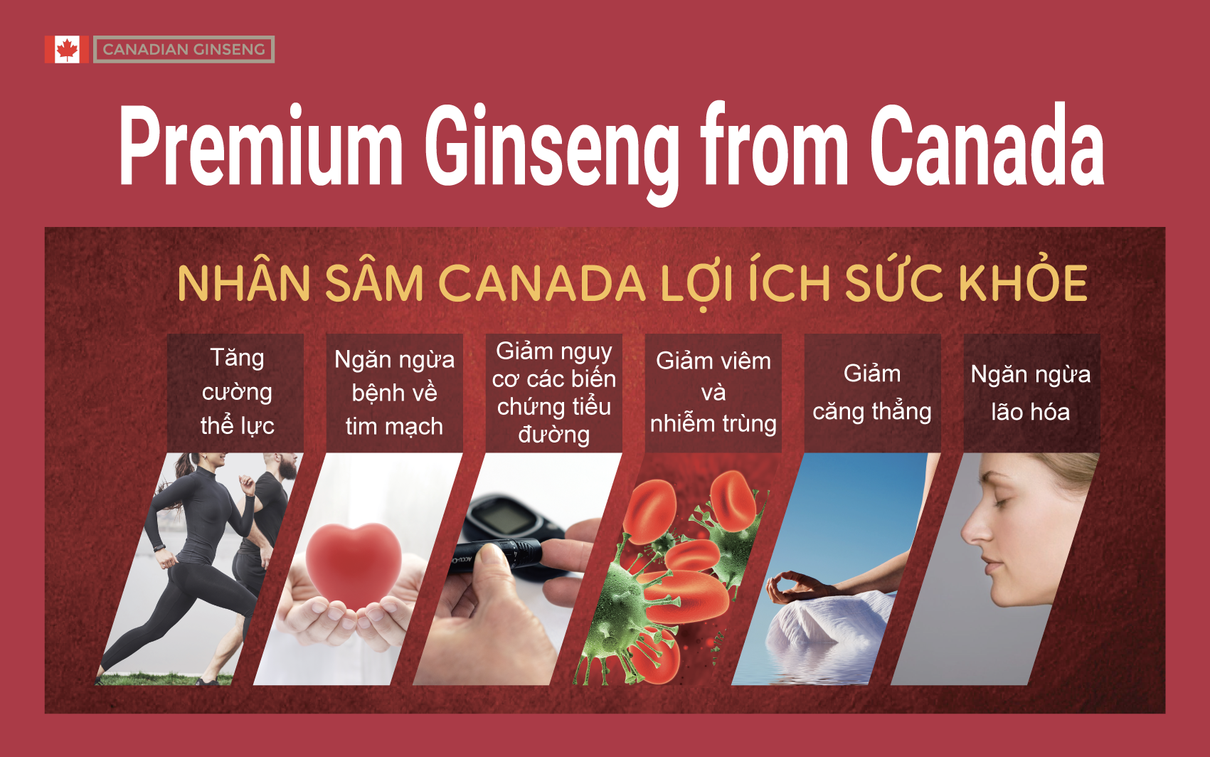 Lễ hội tinh hoa ẩm thực Canada tại LOTTE Mart - 4