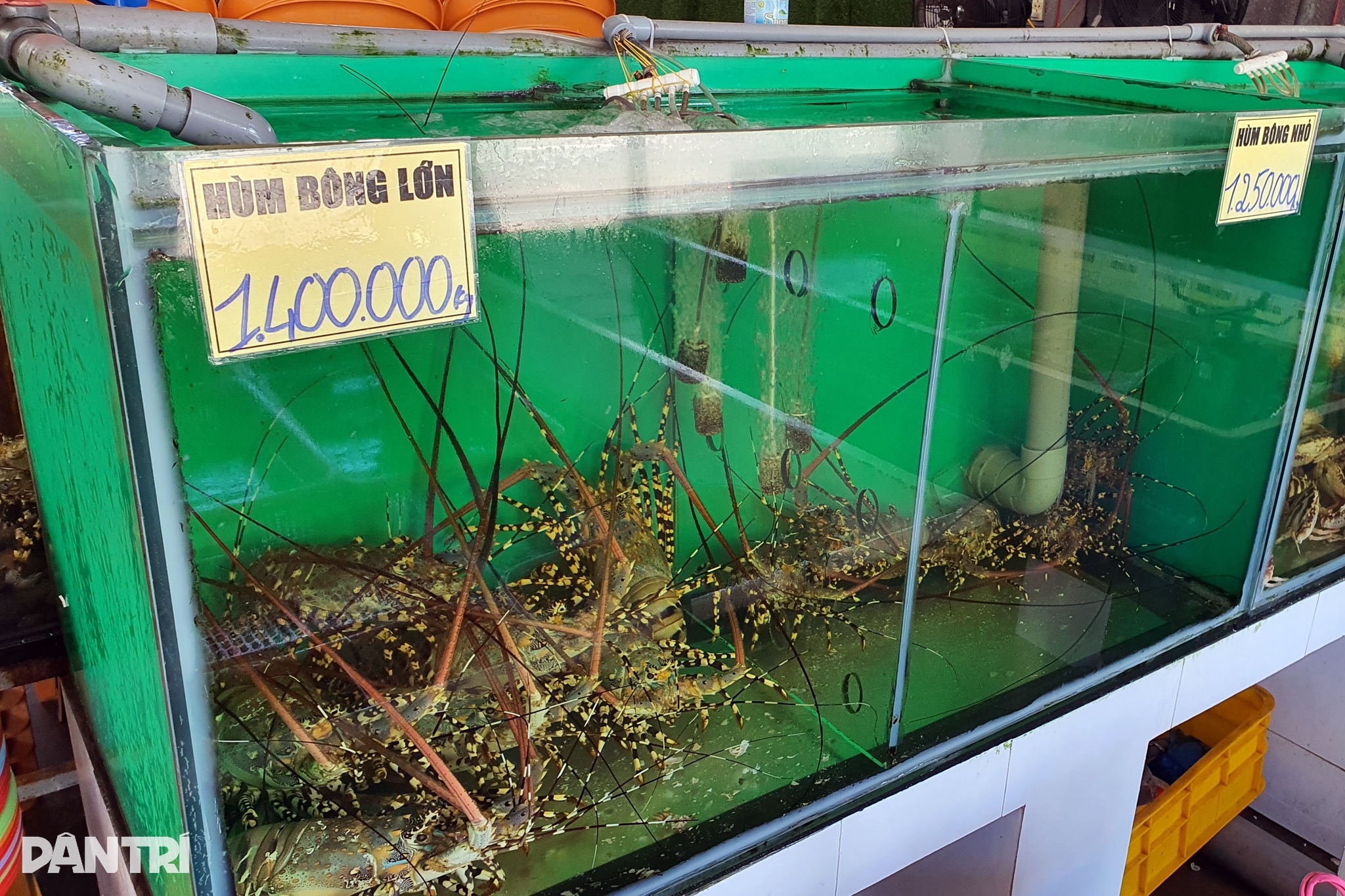 22 người ăn hải sản hết 42 triệu đồng: Cánh tài xế nói về hoa hồng - 3 22 người ăn hải sản hết 42 triệu đồng: Cánh tài xế nói về hoa hồng - 3