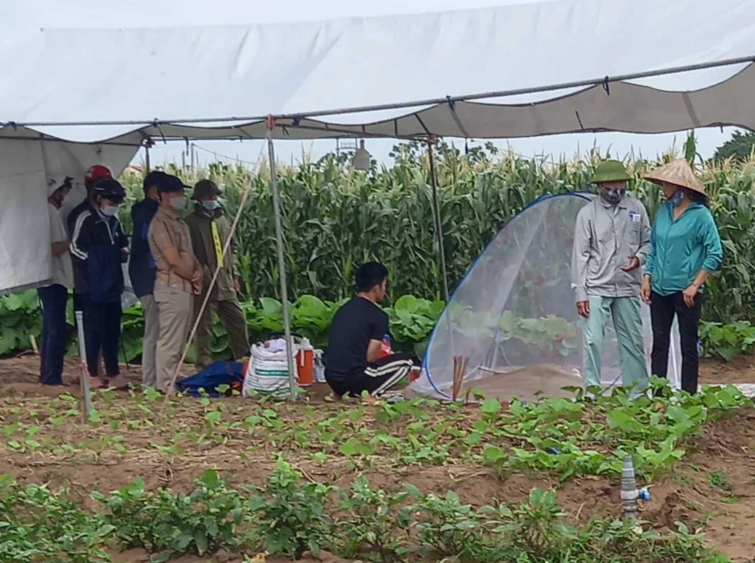 3 mẹ con nữ giáo viên tử vong trên sông, một bé được địu trên lưng mẹ - 1