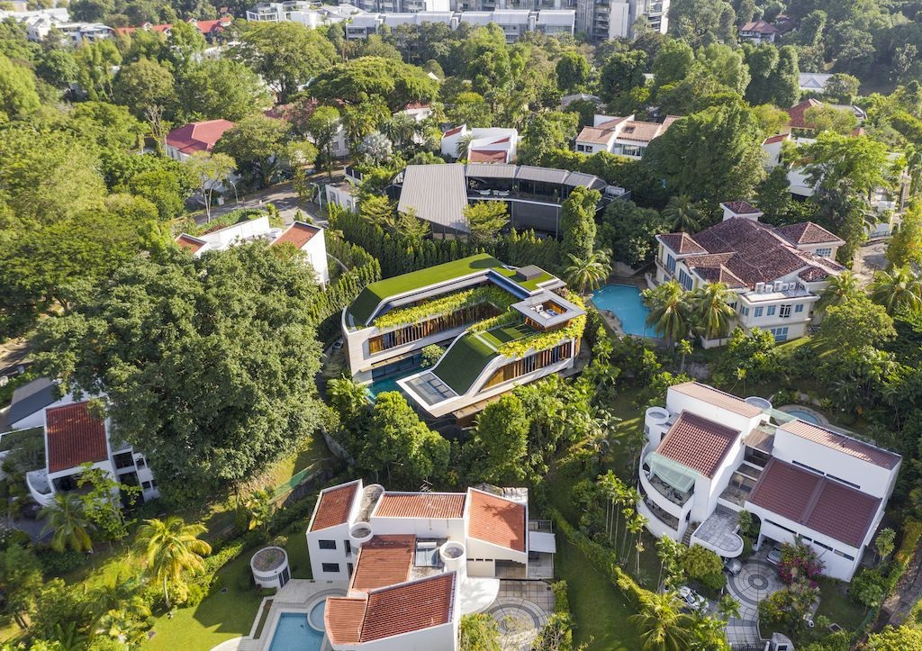 View - Ngôi nhà hình tròn lạ mắt giữa phố, ngập màu xanh như trong rừng cây | Báo Dân trí