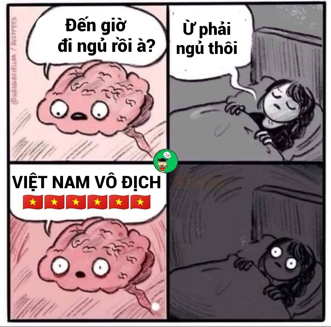 Niềm vui sướng khiến nhiều người khó ngủ (Ảnh: NĐVLM).