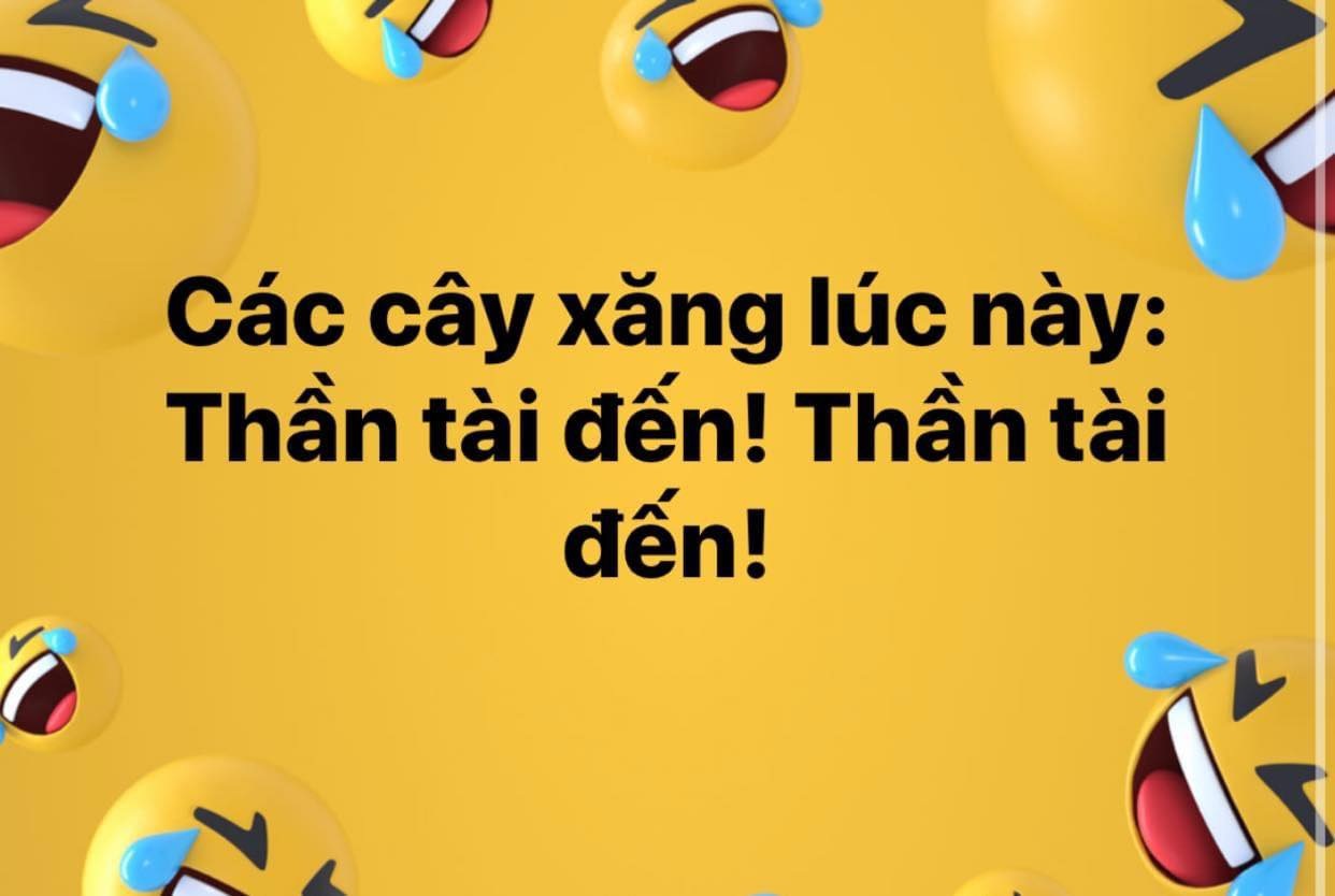 Tình trạng 
