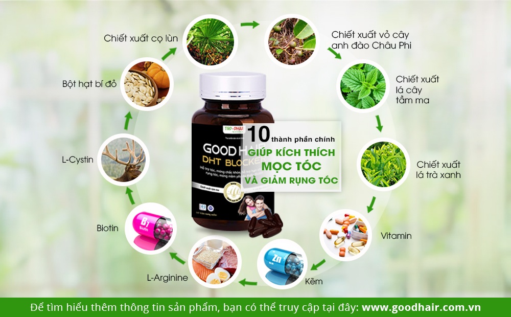Goodhair DHT Blocker hỗ trợ kích thích mọc tóc cho người rụng tóc, hói đầu - 3 Goodhair DHT Blocker hỗ trợ kích thích mọc tóc cho người rụng tóc, hói đầu - 3