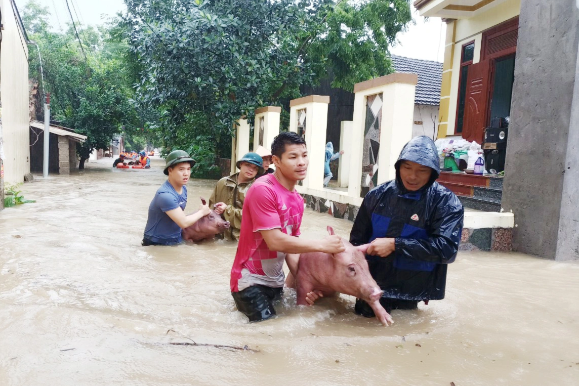 Tam Đảo ghi nhận lượng mưa kỷ lục trong vòng 60 năm - 1