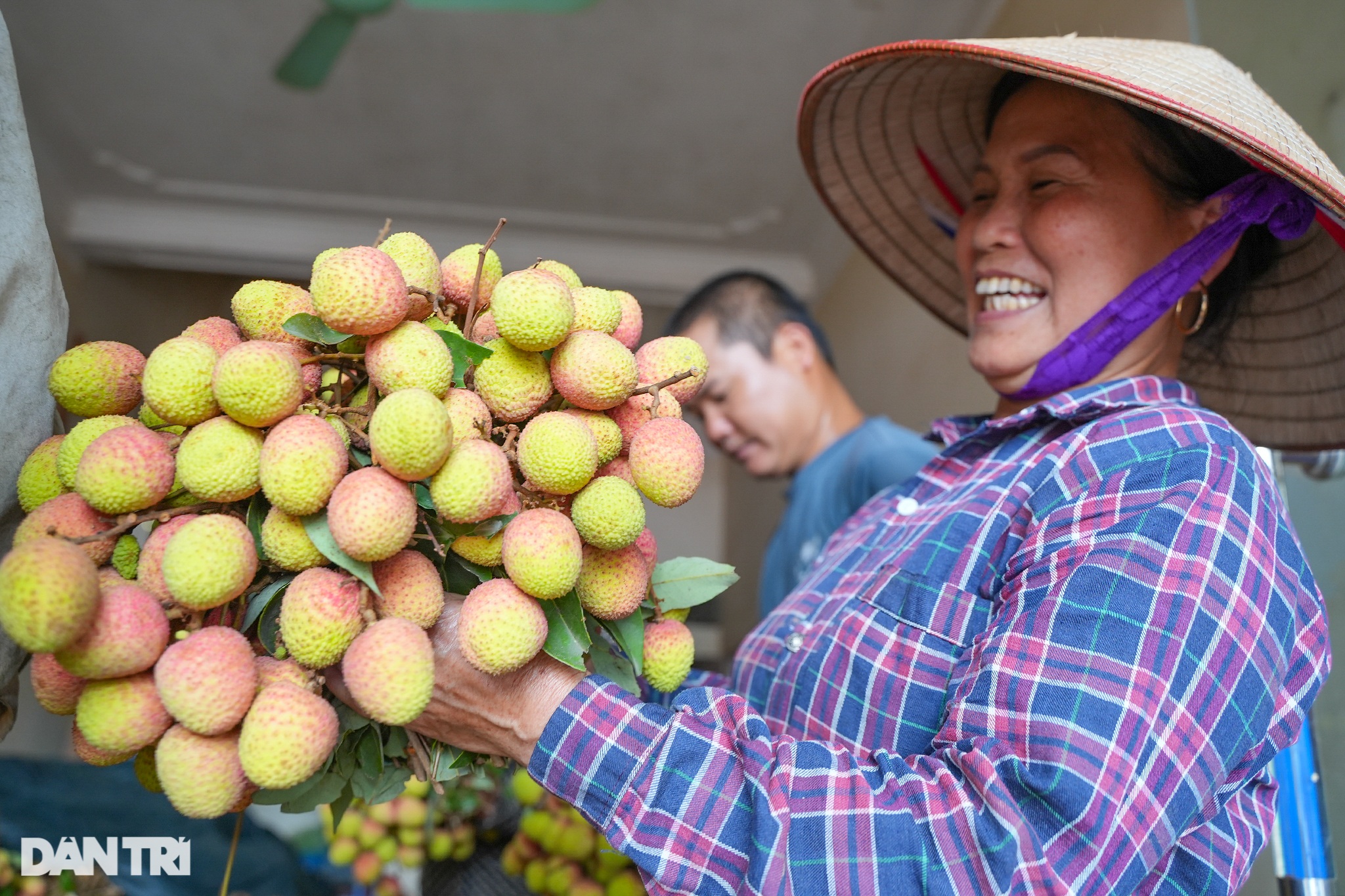 Thủ phủ vải sớm Tân Yên được mùa, người dân phấn khởi thu hoạch - 9