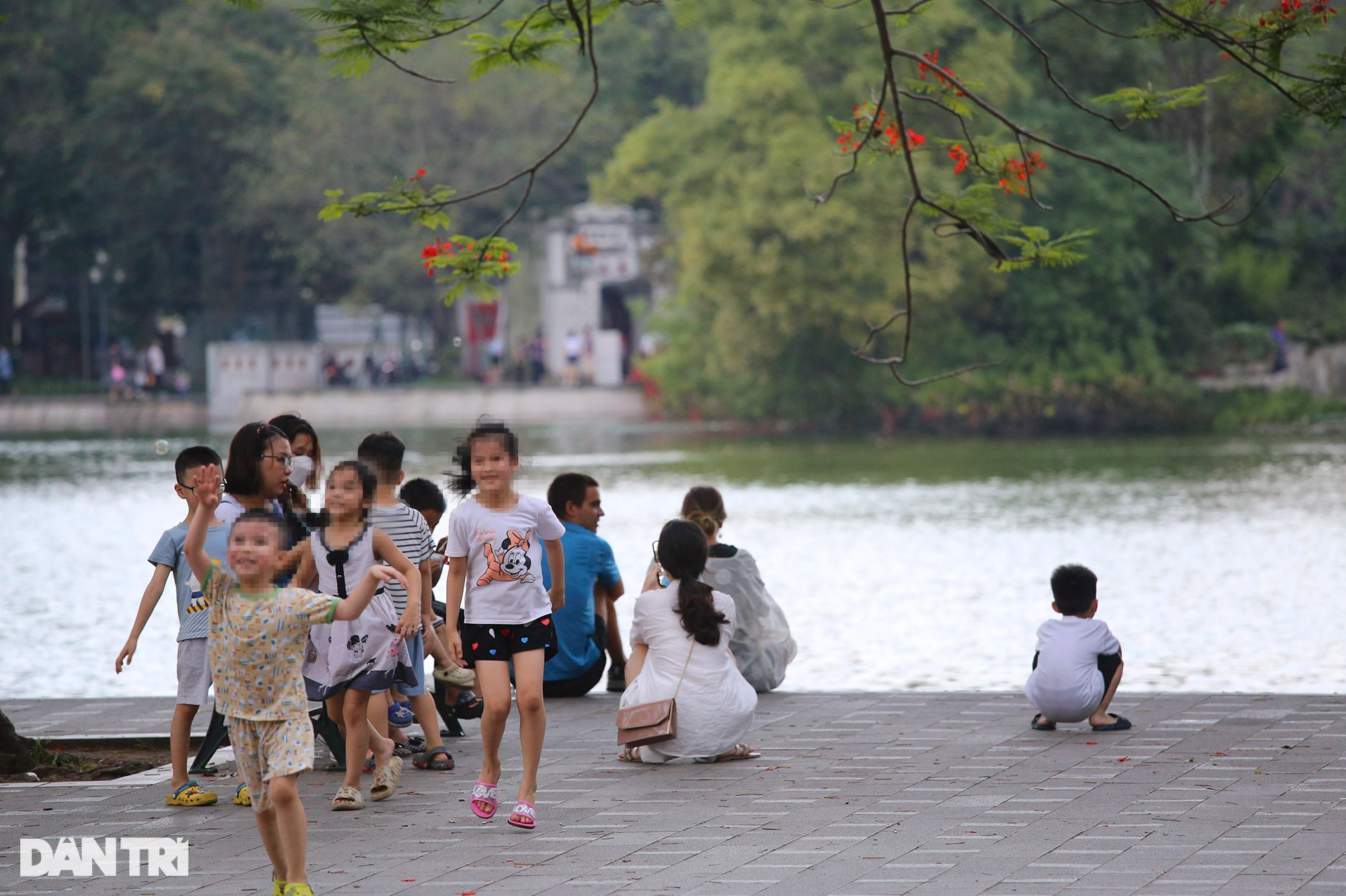 Tràn ngập chó trên phố đi bộ hồ Gươm bất chấp TP Hà Nội đã quy định cấm - 13